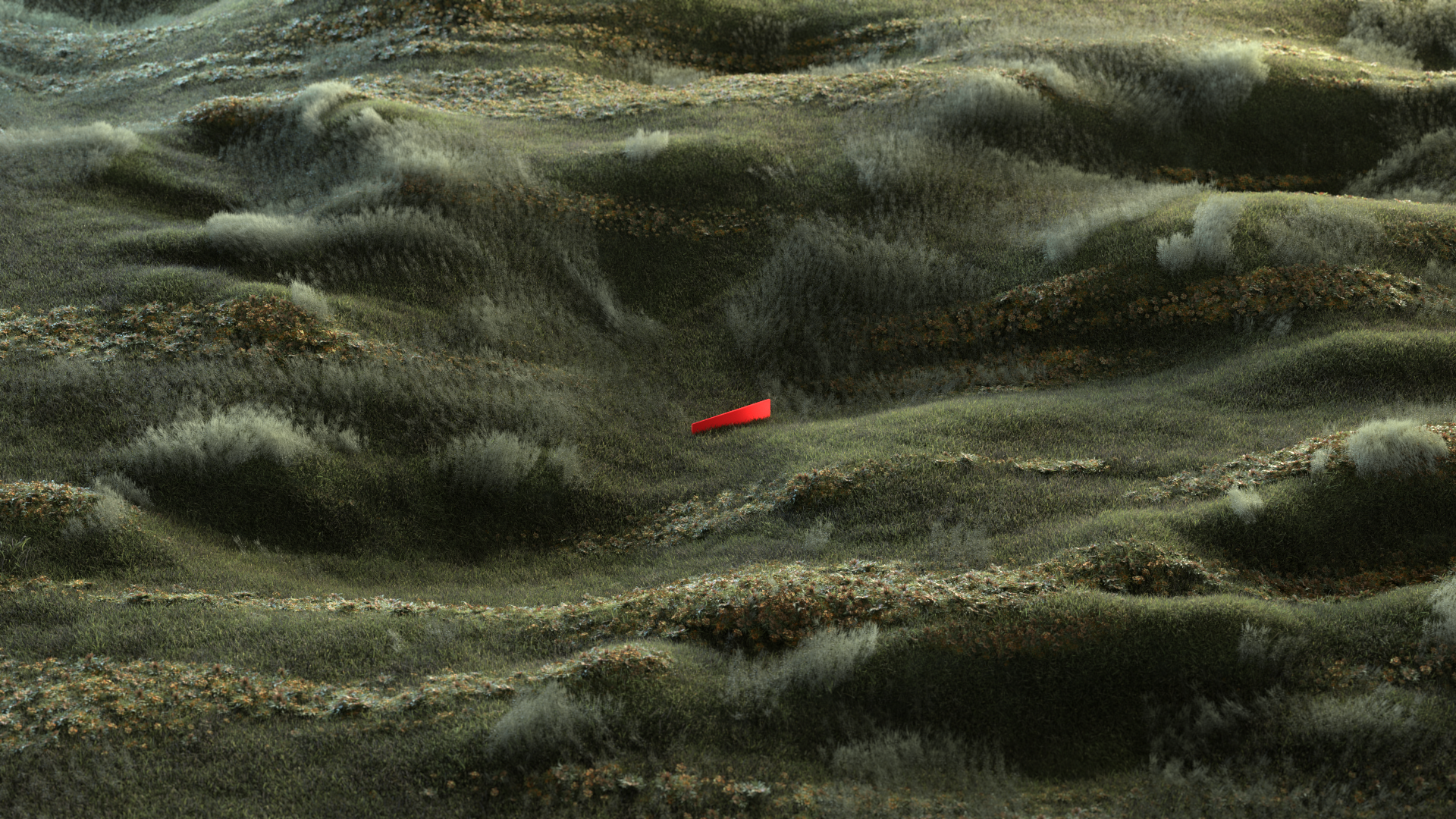 01_field.png