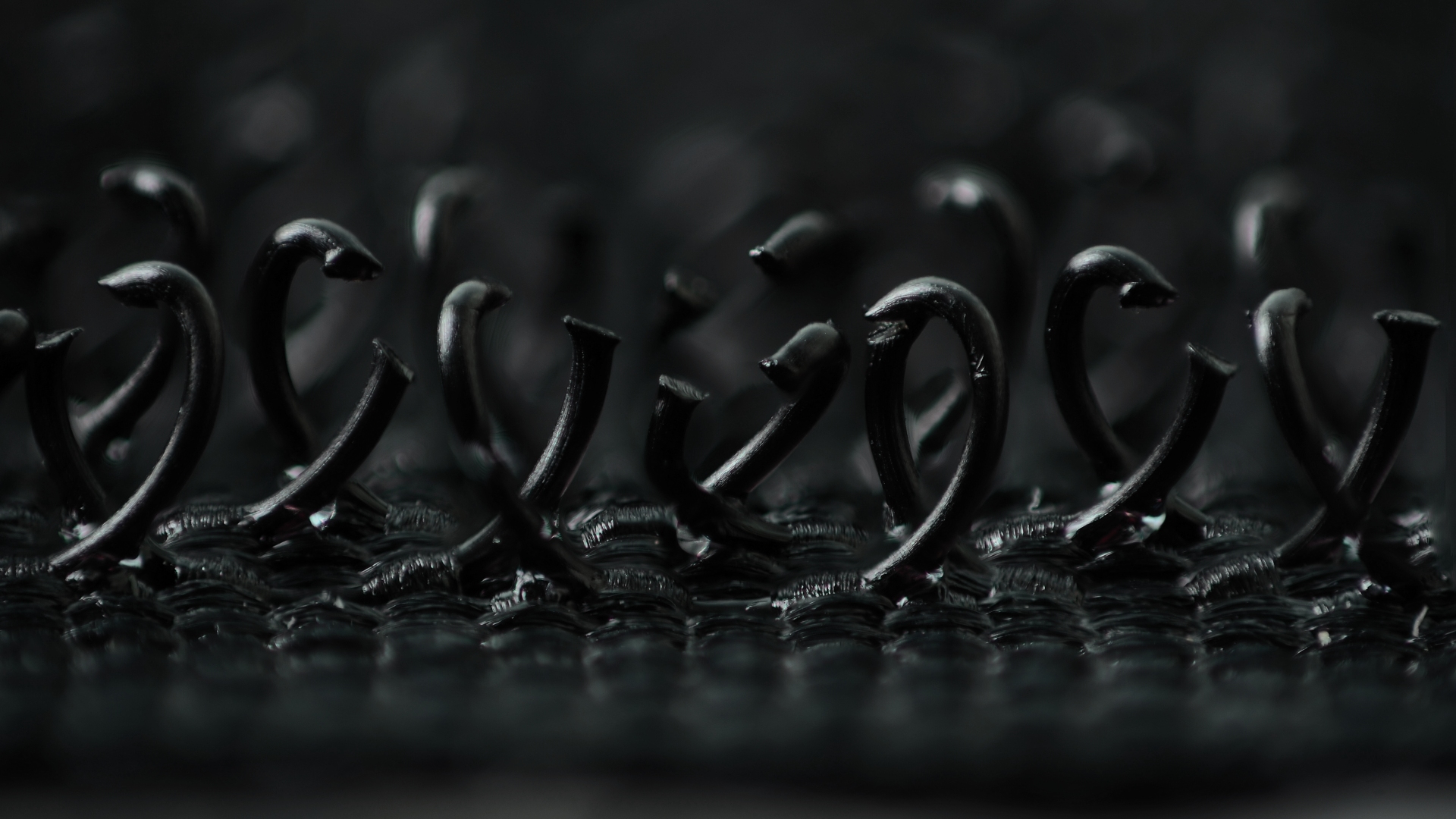 Hook_and_loop_fastener_-_macro_photograph_of__hooks_.jpg