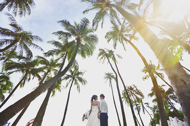 You&rsquo;re H.O.L.Y. I&rsquo;m high on lovin&rsquo; you, high on lovin&rsquo; you. @floridageorgialine
.
.
.
@visionarijapan
@bestbridalhawaii 
@bestbridal_overseas
.
.
#hawaiiwedding
#hawaiielopement
#weddingphotography
#weddingphotographer
#modern