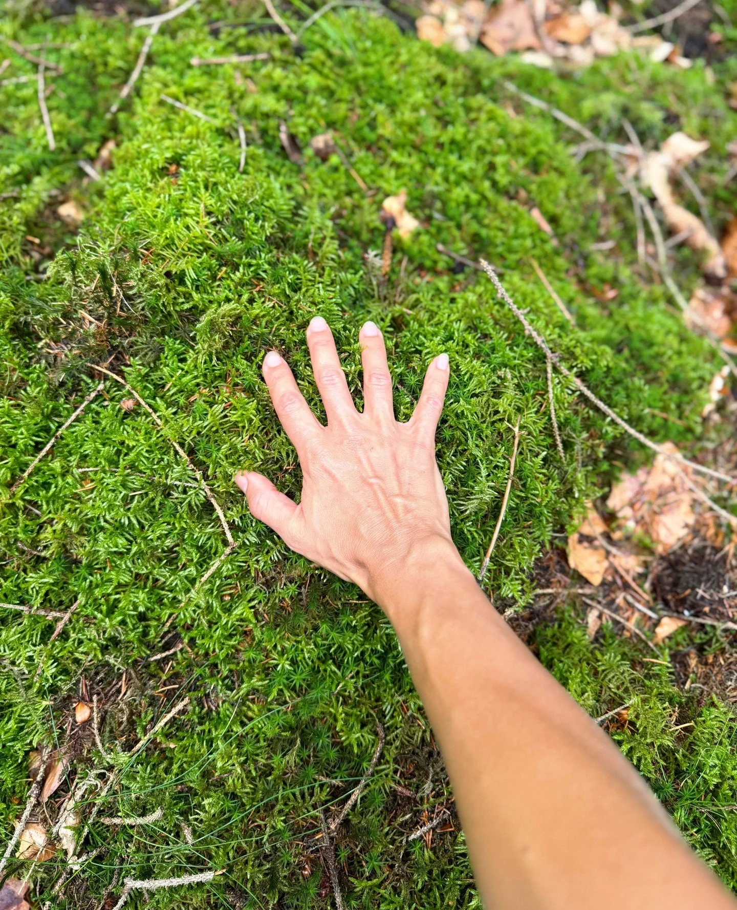Reflektionsfr&aring;gor f&ouml;r september: yoga och inre kraft 🌳⁠
⁠
Kraft &auml;r inte n&aring;got vi beh&ouml;ver jaga utanf&ouml;r oss sj&auml;lva. Den finns redan h&auml;r, som en k&auml;lla inom oss. N&auml;r vi stillnar, andas och lyssnar kan 