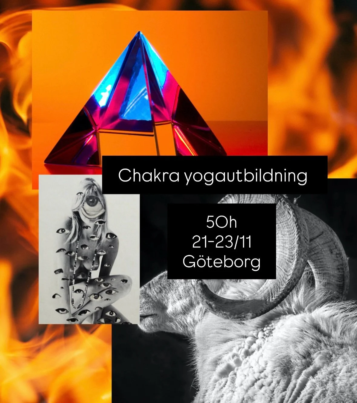 Chakra Yogautbildning i G&ouml;teborg 🟣 l&auml;r dig balansera kropp, sinne och energi.

Allt &auml;r energi. Att f&ouml;rst&aring; chakrasystemet &auml;r att f&ouml;rst&aring; v&aring;ra olika tillst&aring;nd, fr&aring;n det jordn&auml;ra till det 