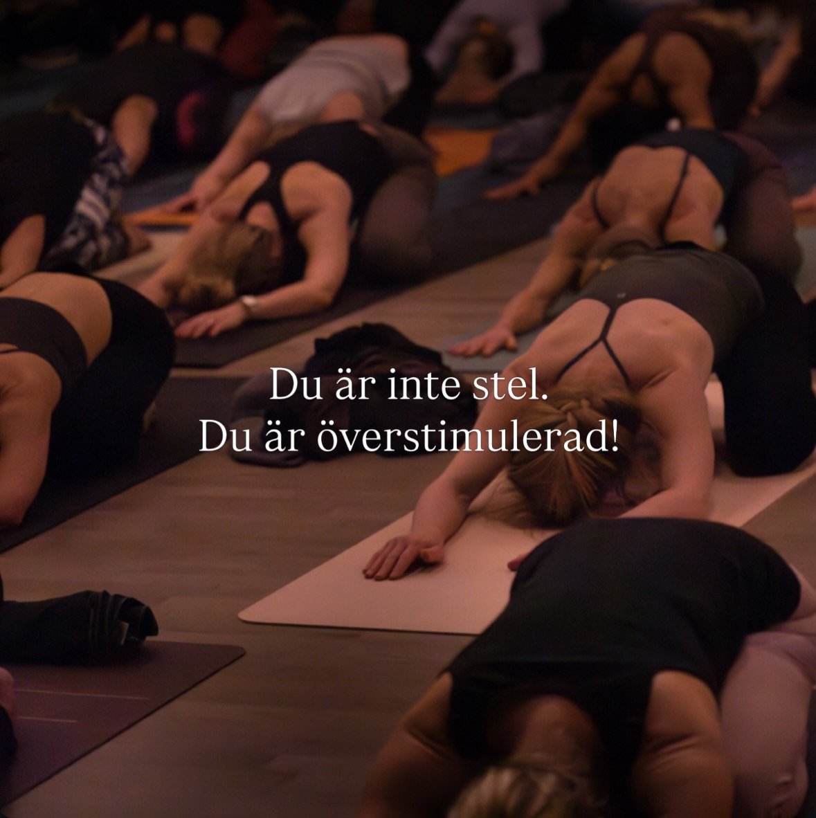 De flesta f&ouml;rs&ouml;ker stretcha bort n&aring;got som egentligen &auml;r ett nervsystem som inte litar p&aring; positionen (eller situationen). Mer djup l&ouml;ser s&auml;llan inte problemet. Trygghet g&ouml;r det. Men hur tr&auml;nar vi det?

I