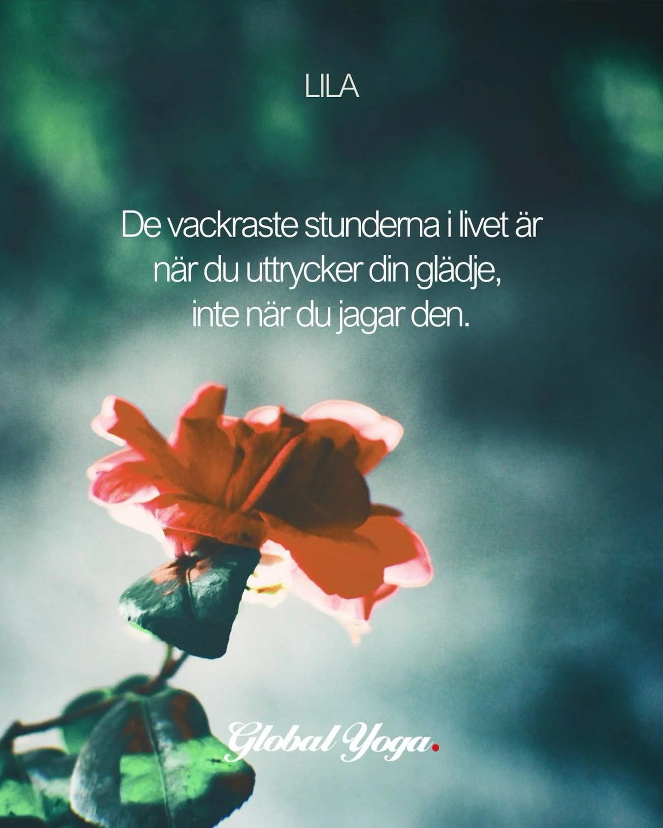 F&ouml;lj det som vill v&auml;xa i dig 🐚

N&auml;stan allting i universum snurrar. Kanske allt? 

Fr&aring;n de allra minsta subatom&auml;ra partiklarna vi just har uppt&auml;ckt, till elektronerna i varje atom. Fr&aring;n spermien som virvlar fram 