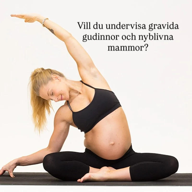Vill du undervisa gravida gudinnor och nyblivna mammor?

Global Yoga MAMA &auml;r gravidyogautbildningen f&ouml;r dig som vill m&ouml;ta kvinnokroppen i f&ouml;r&auml;ndring med kunskap, n&auml;rvaro och respekt. 

Utbildningen ger dig teoretiska och