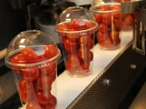 newtec-packaging-machine-CCF-5.jpg