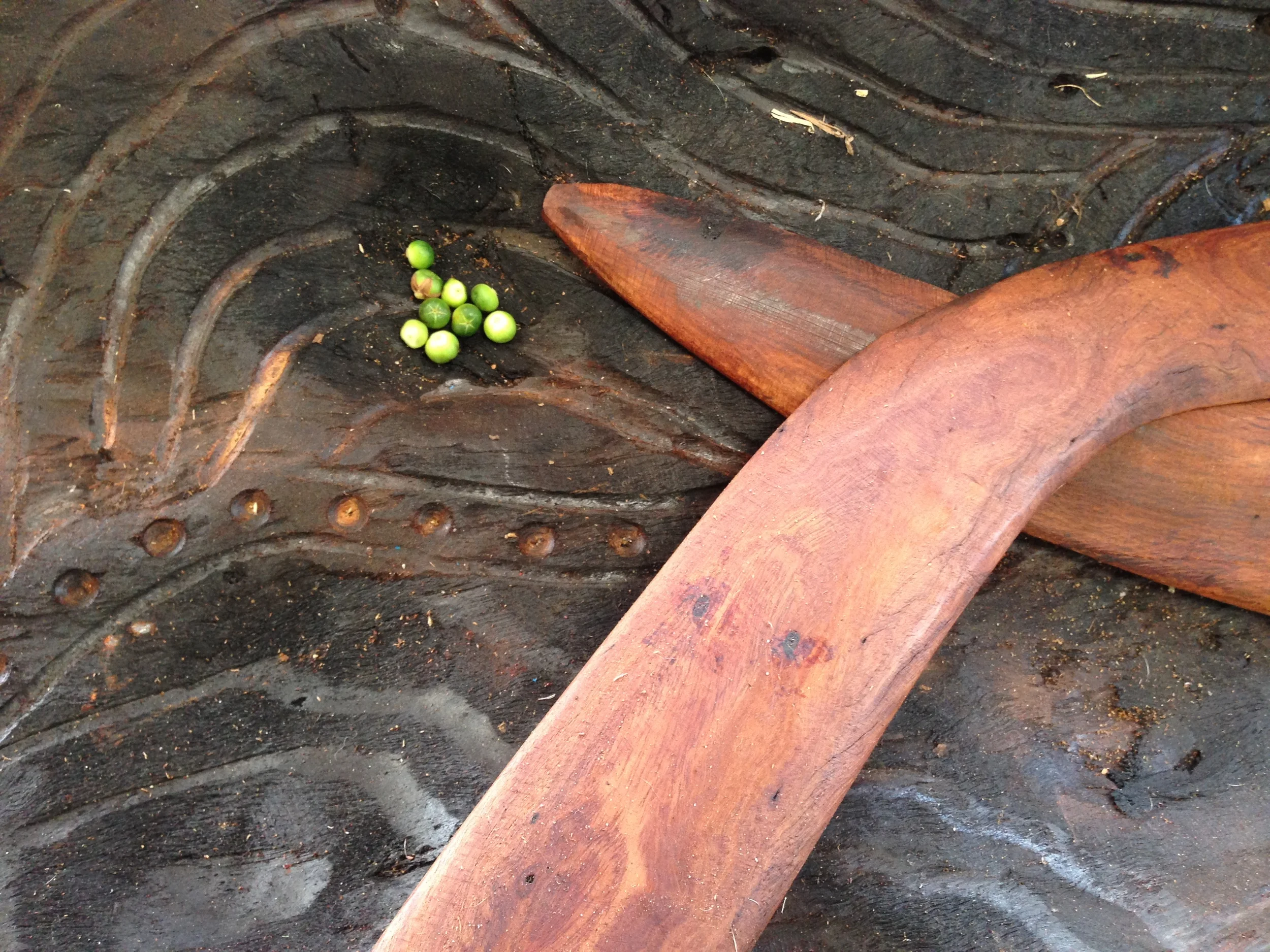 Noongar Image 1.JPG