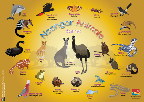 Noongar-Animals.png