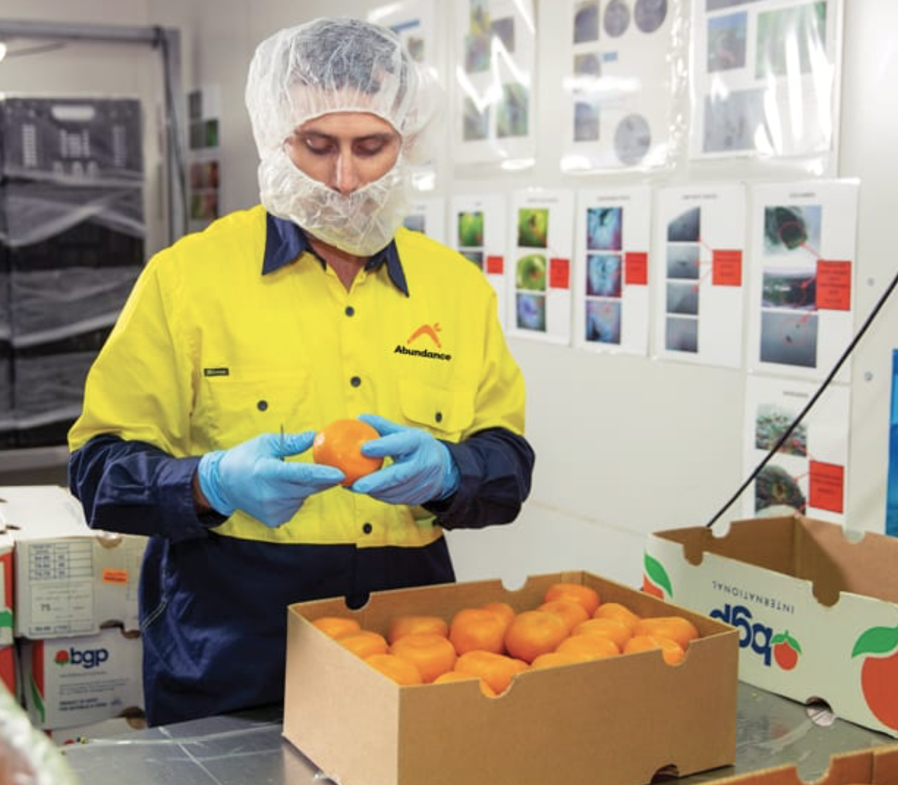 Baldivis Farms Information Meeting