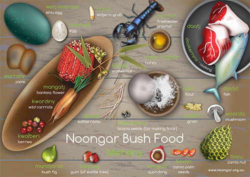 NoongarBushfood-print.png