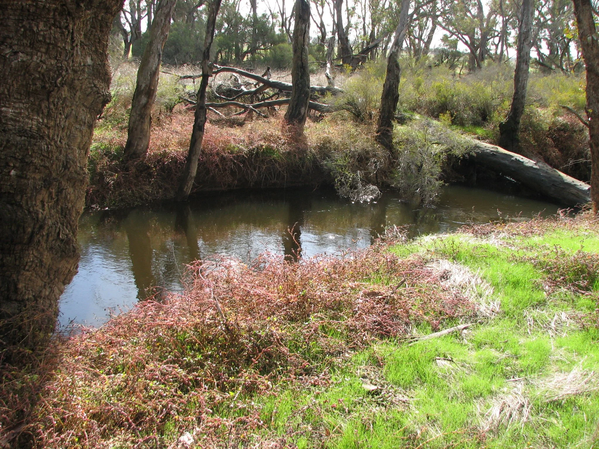 Aboriginal ranger program employment opportunities — South West
