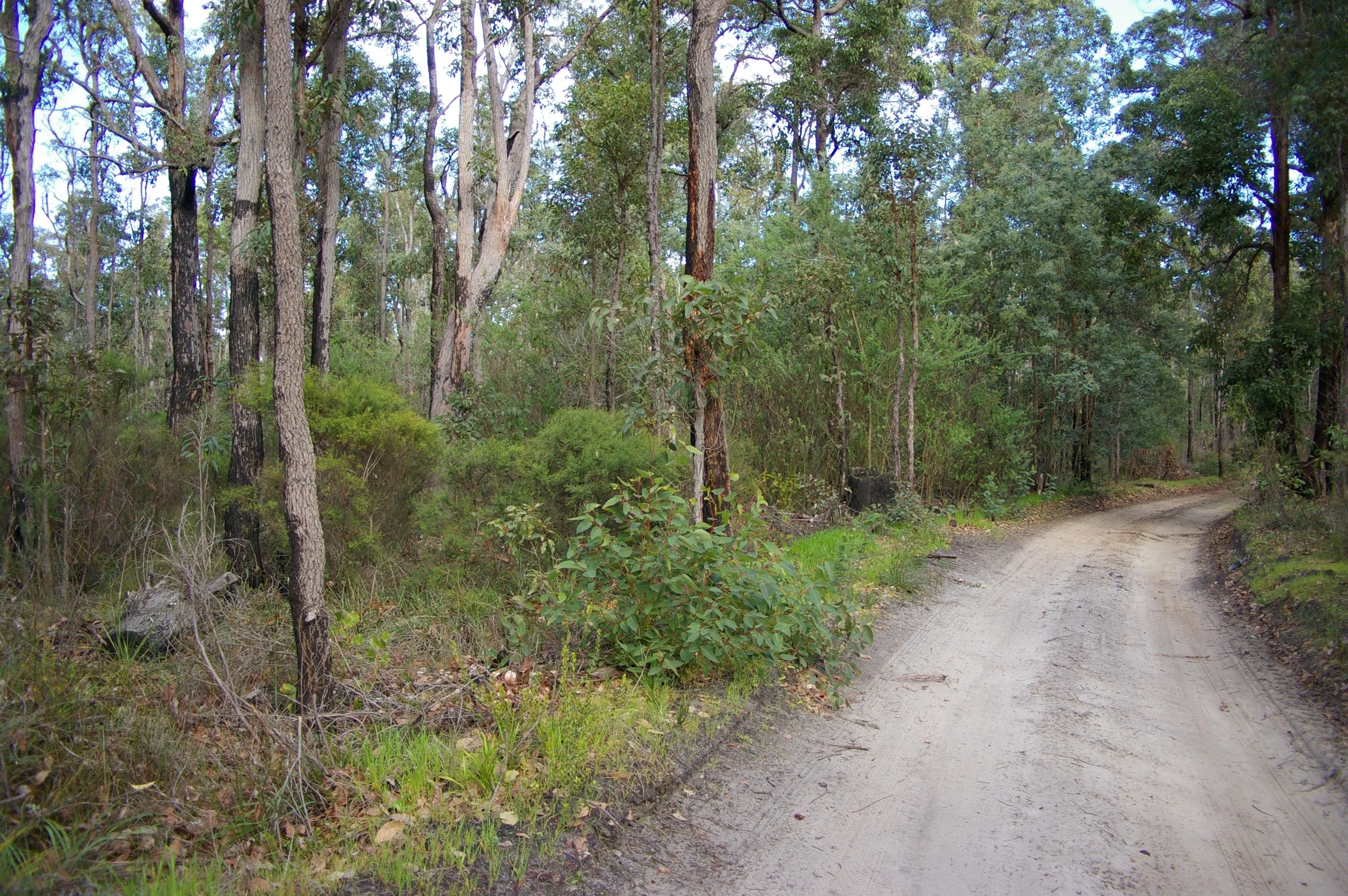 Worley First Nations Apprenticeship Program: Boilermaker/ Electrician