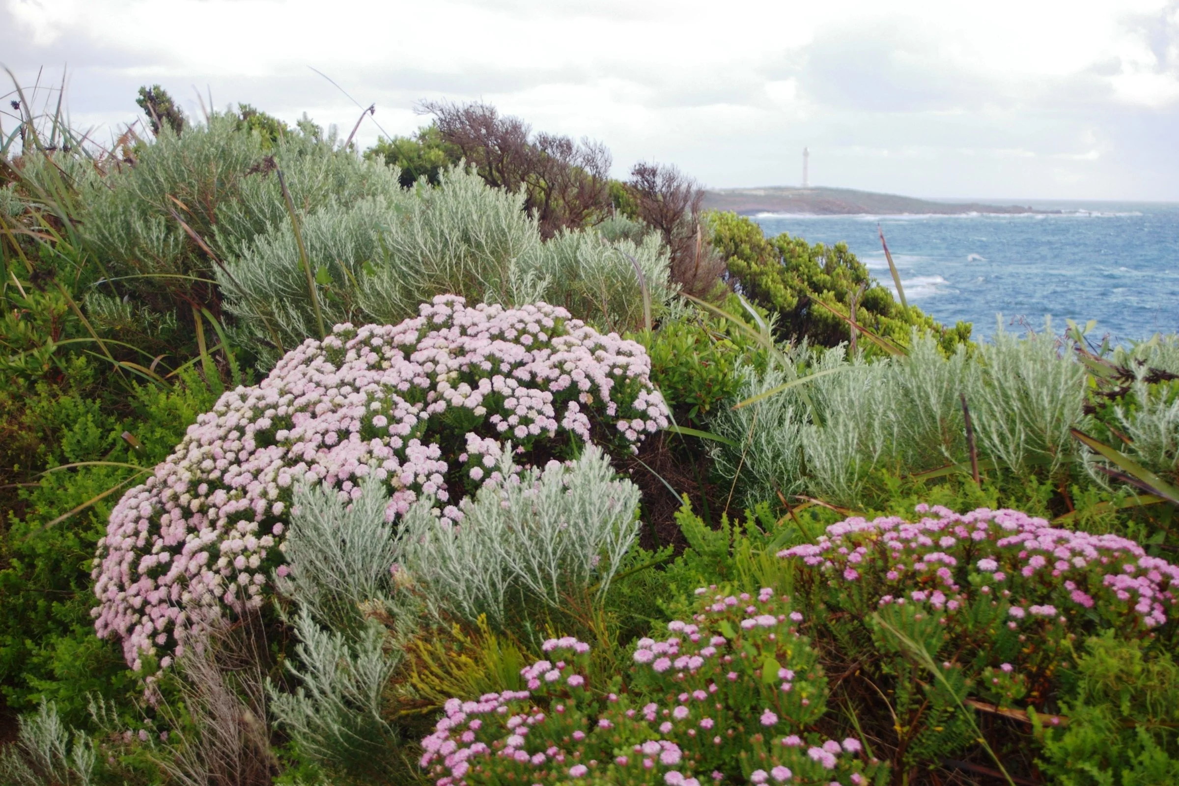 Western Power: Senior Aboriginal Heritage Specialist