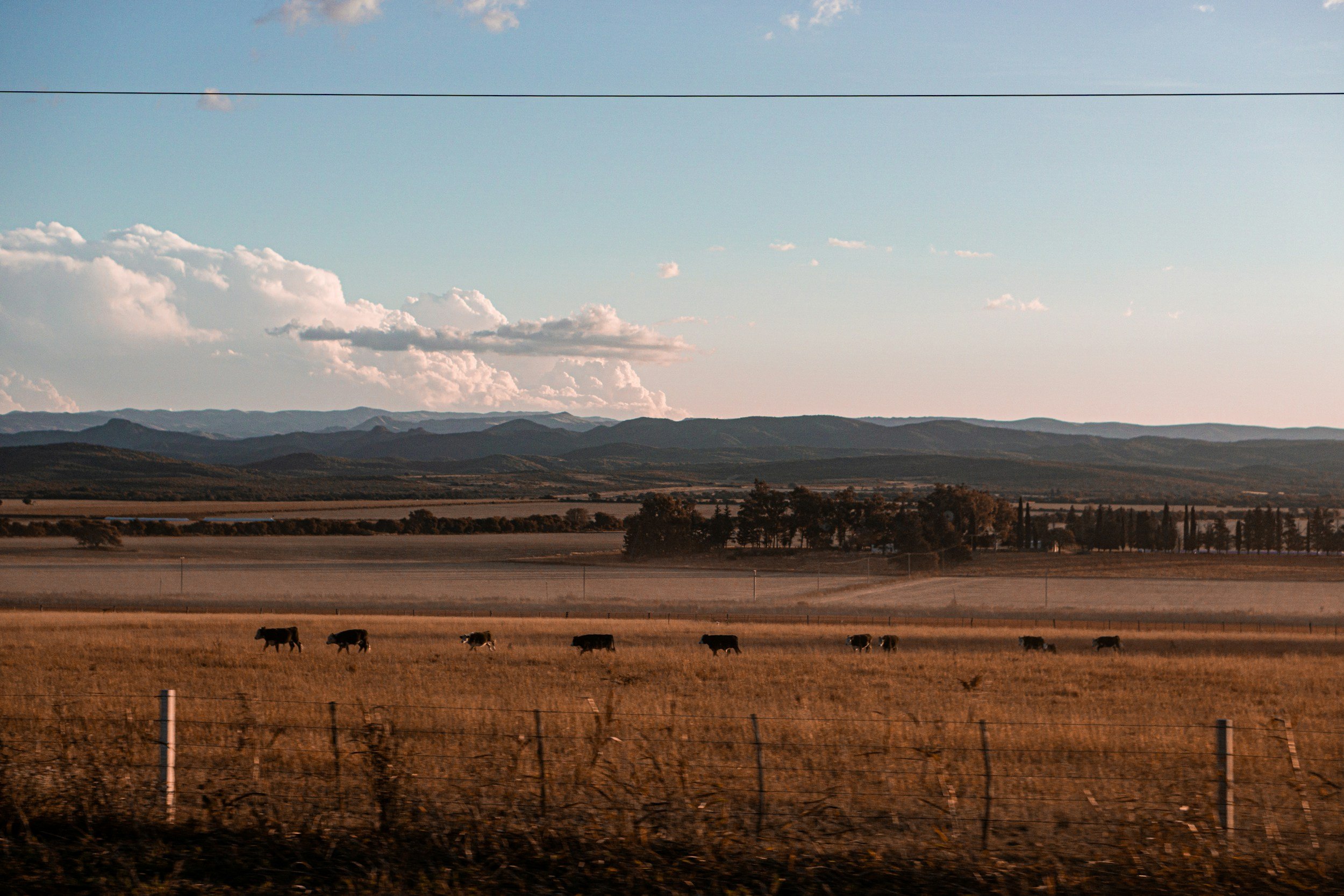 DBCA: Coordinator, Joint Management Central Support