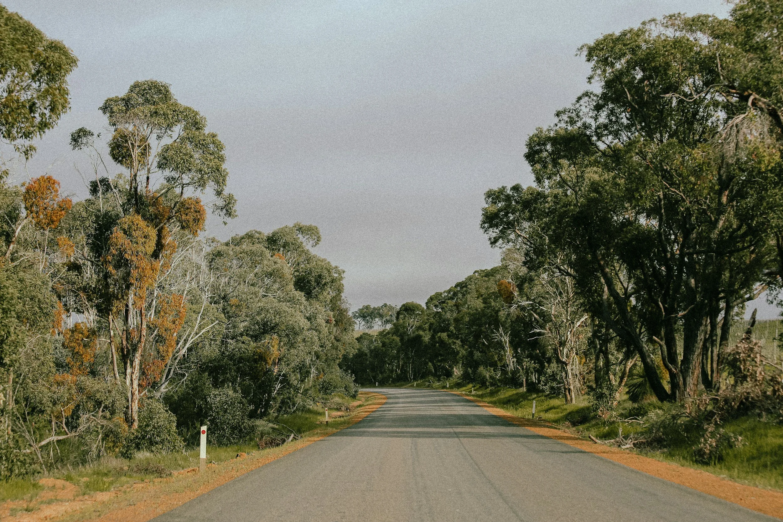 Main Roads: Graduate Aboriginal Engagement