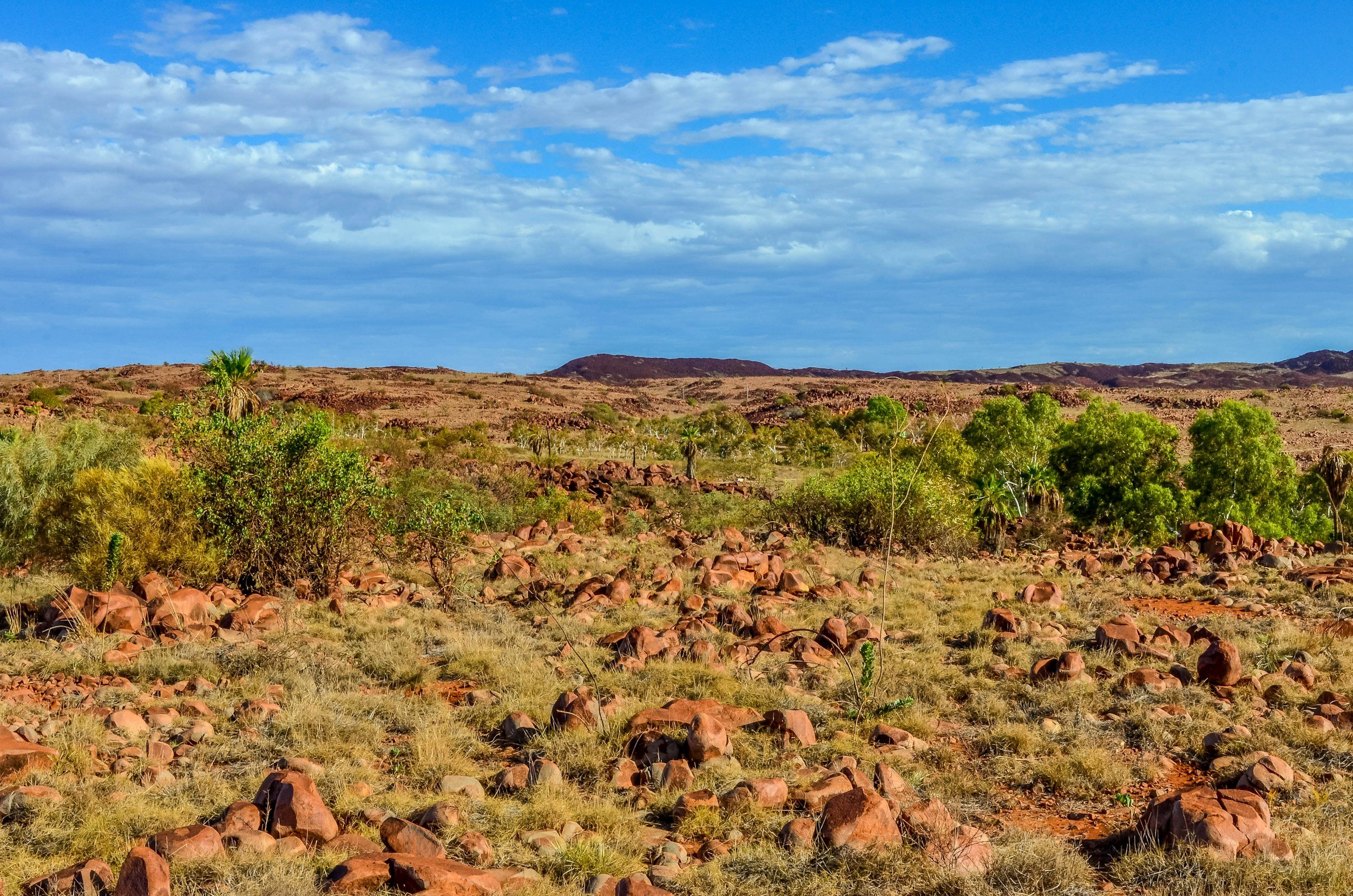 DBCA: Project Officer (South West Native Title)