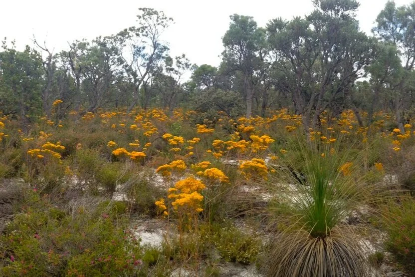 ABORIGINAL ENGAGEMENT COORDINATORS (6 REGIONS)