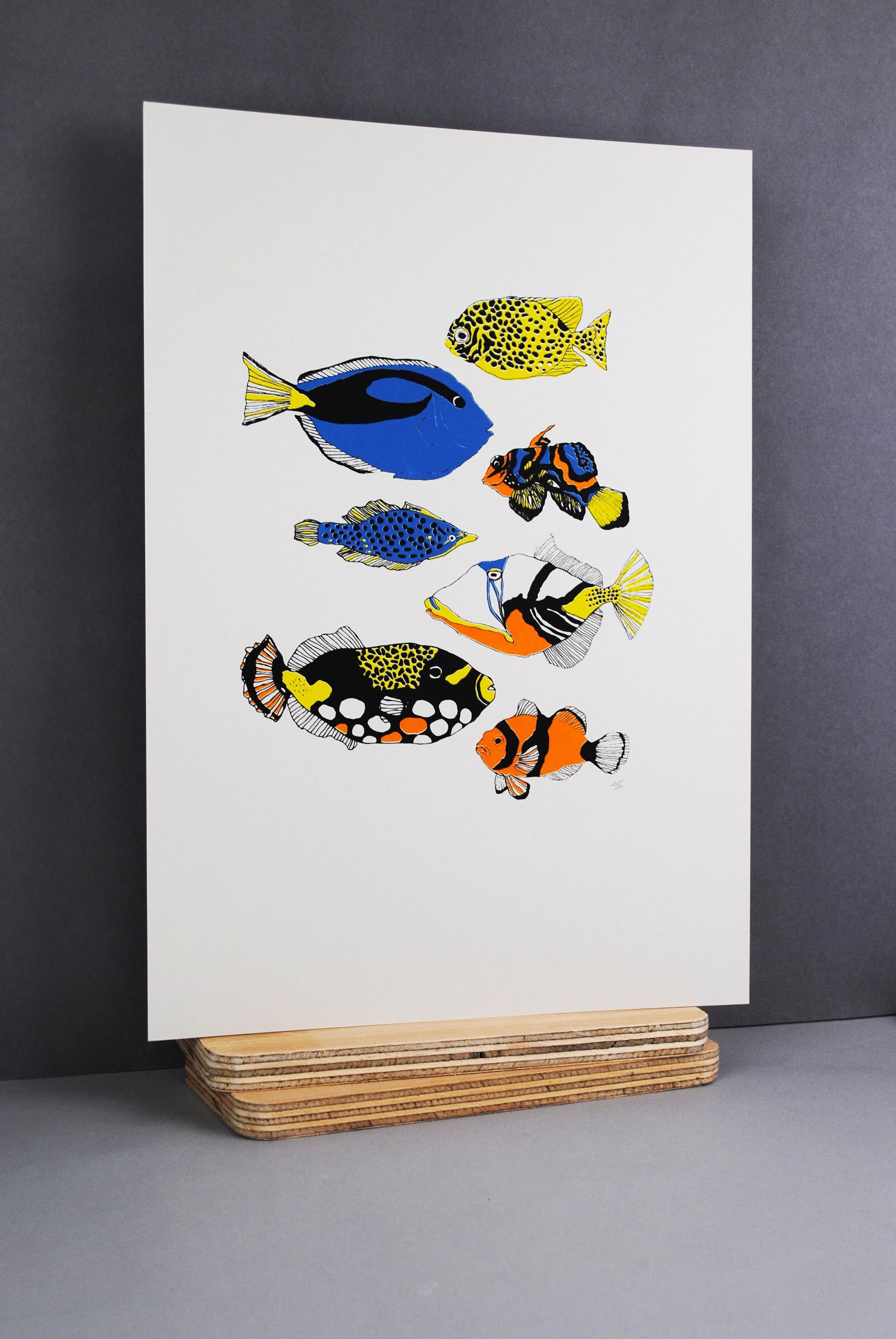 fish_side_fin.jpg