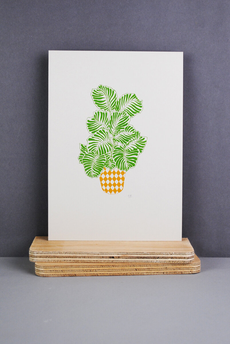 plant_print_small.jpg