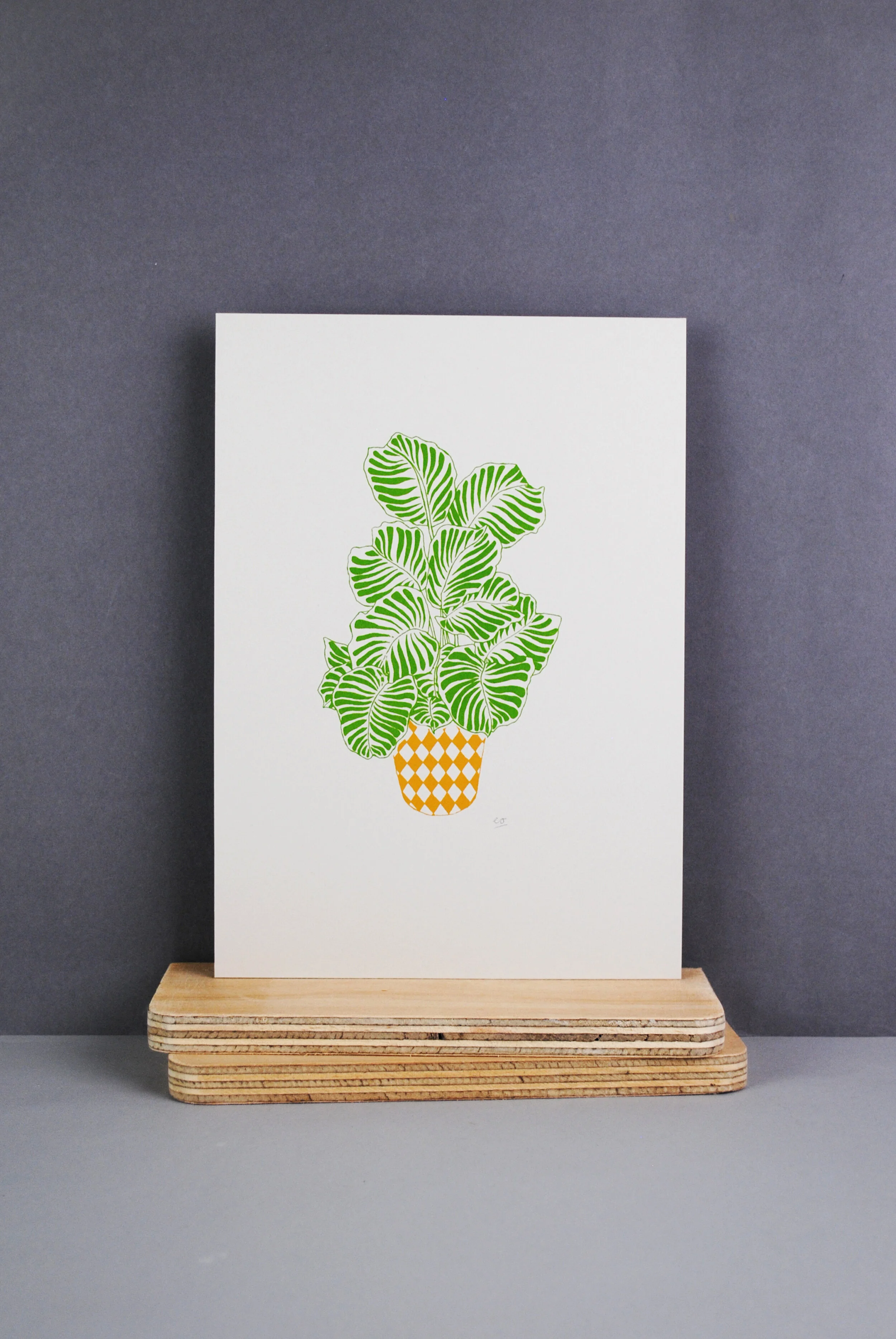 Calathea Screen Print