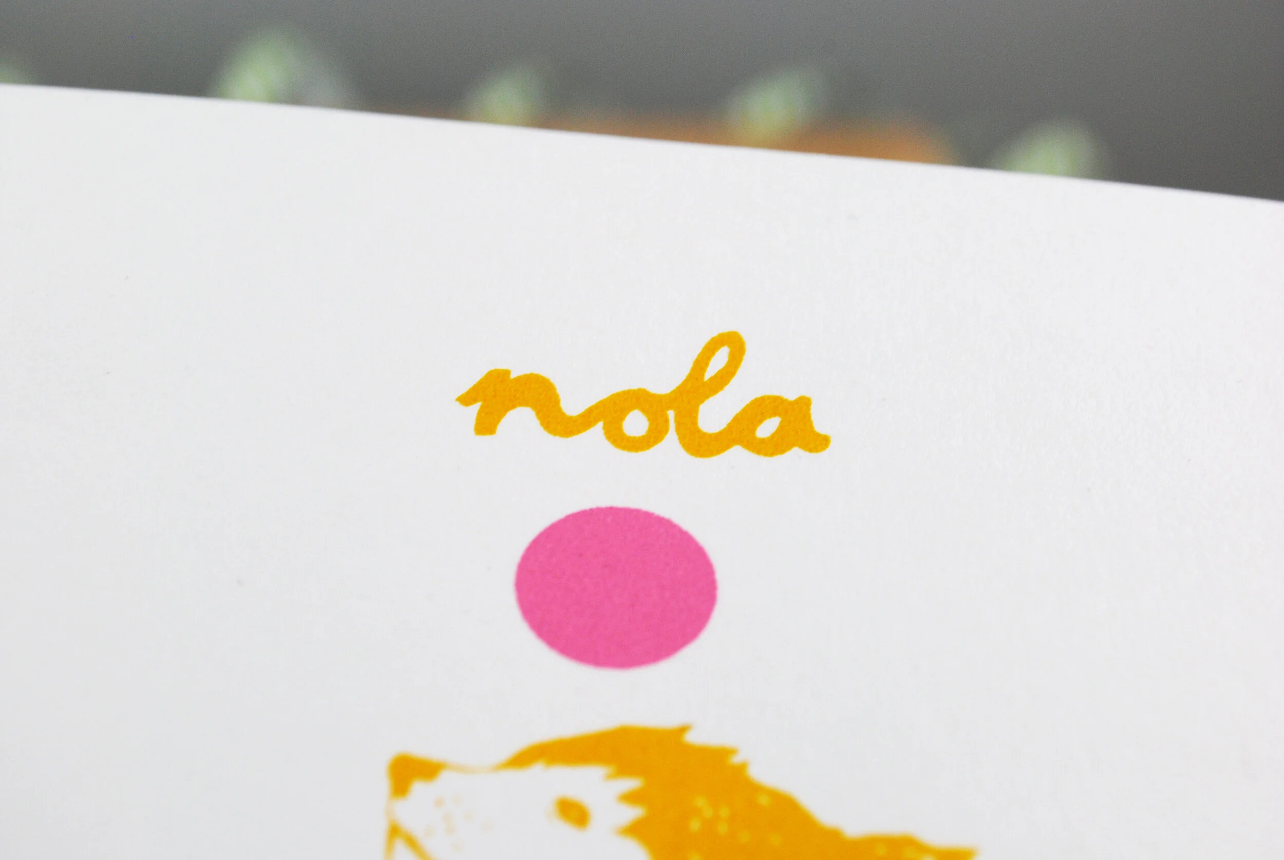 nola_close_one.jpg