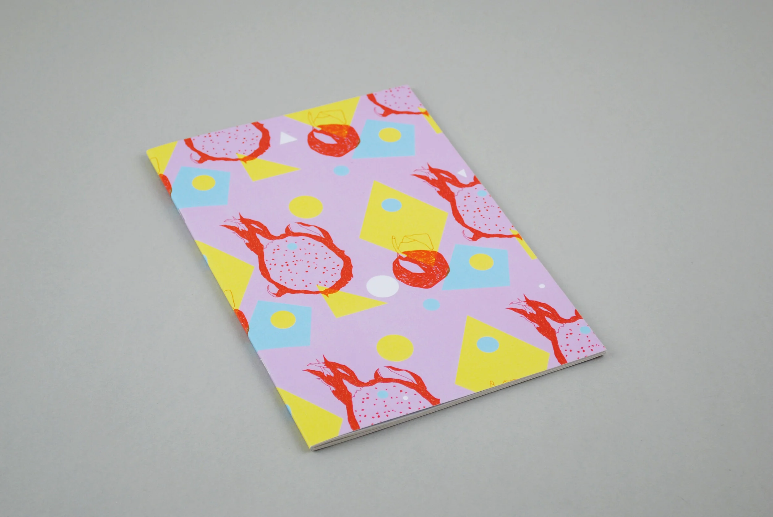 dragonfruit_pattern_notebook.jpg