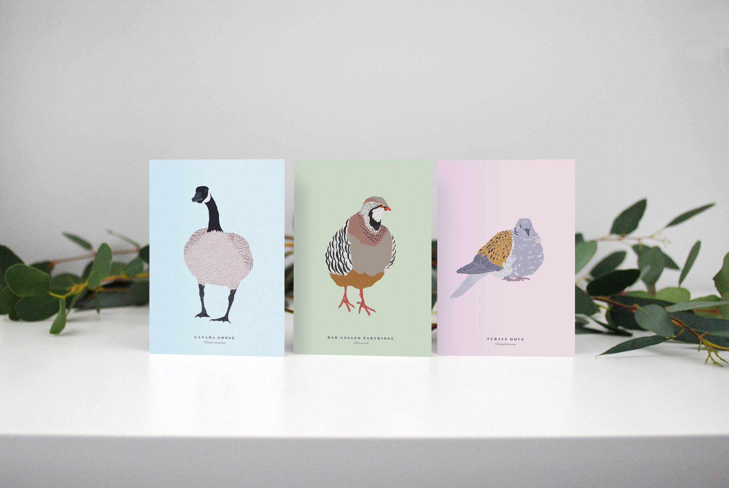 Set of Three Birds of Christmas Cards
