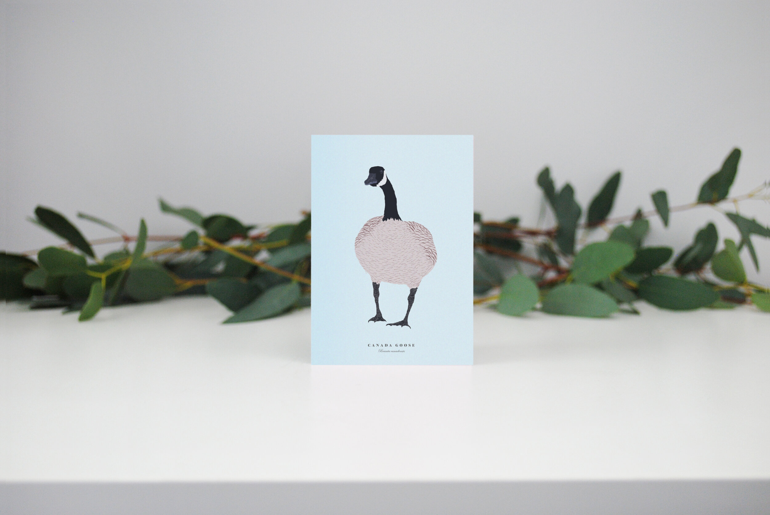 Canada Goose Mini Christmas Card 