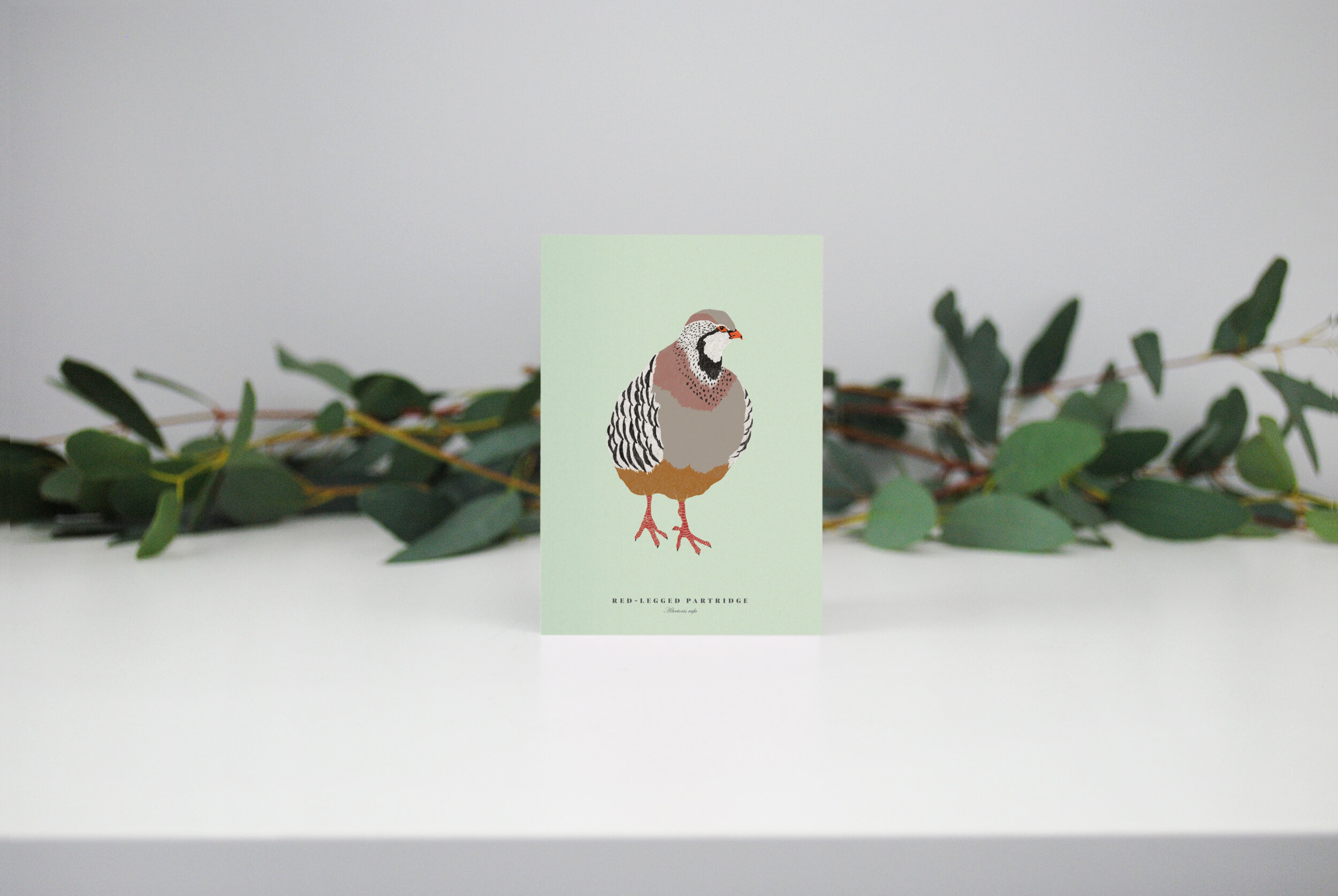 Red Legged Partridge Mini Christmas Card