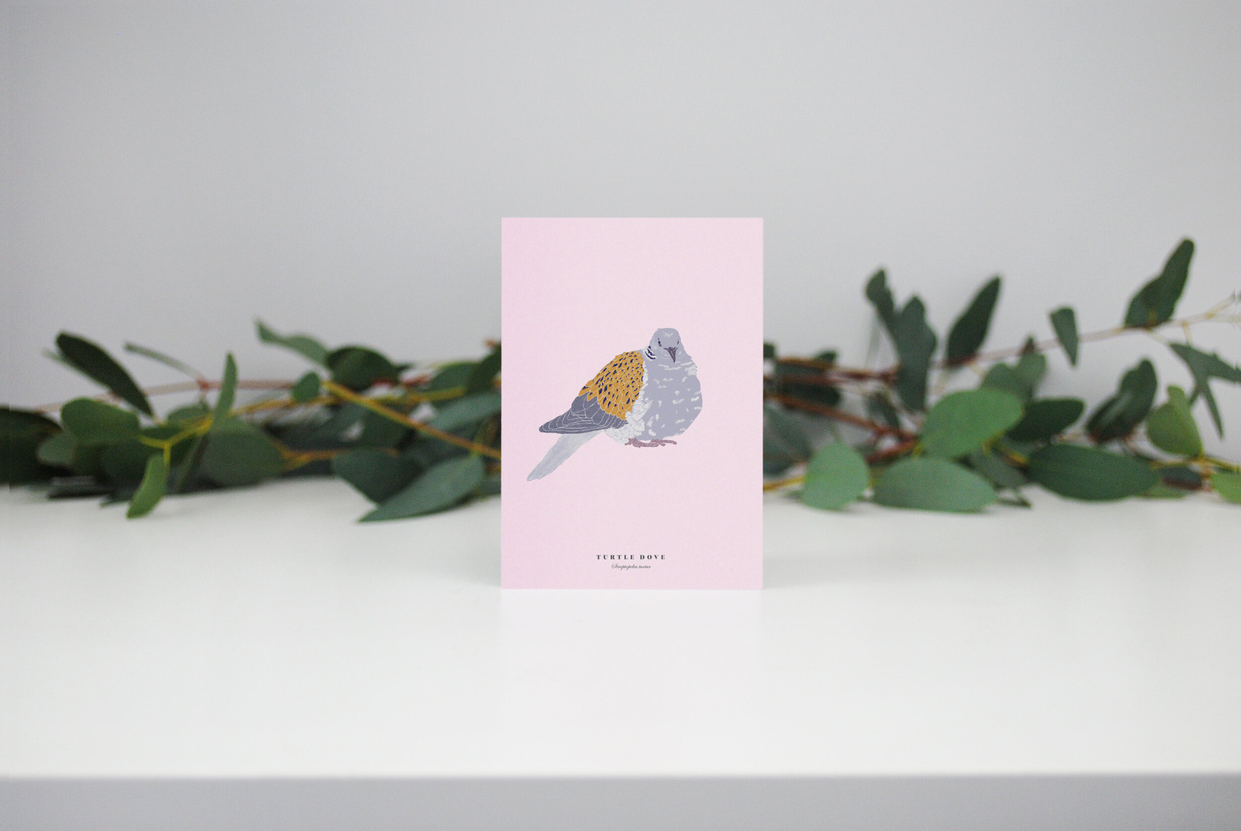 Turtle Dove Mini Christmas Card