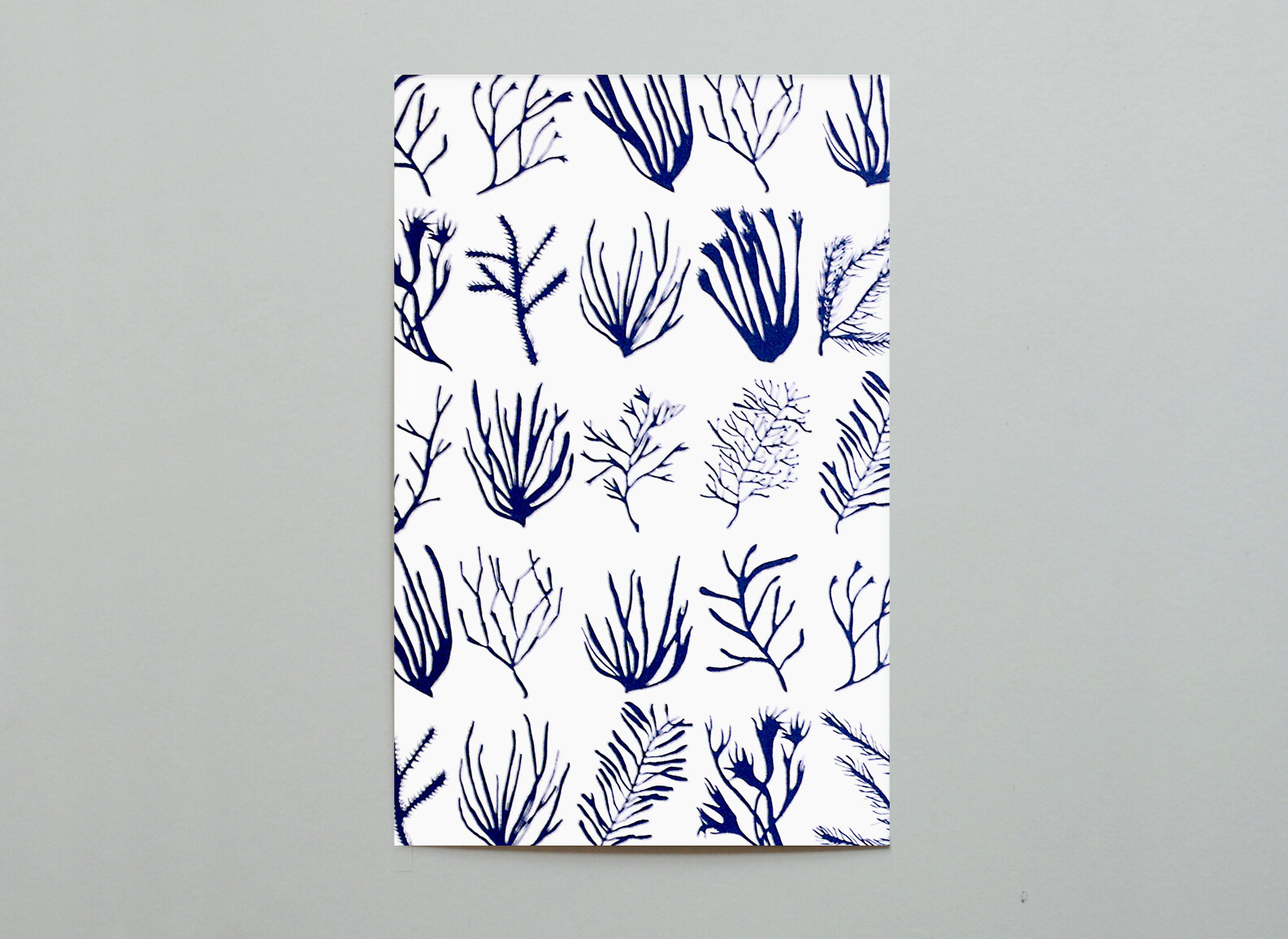 Seaweed Postcard