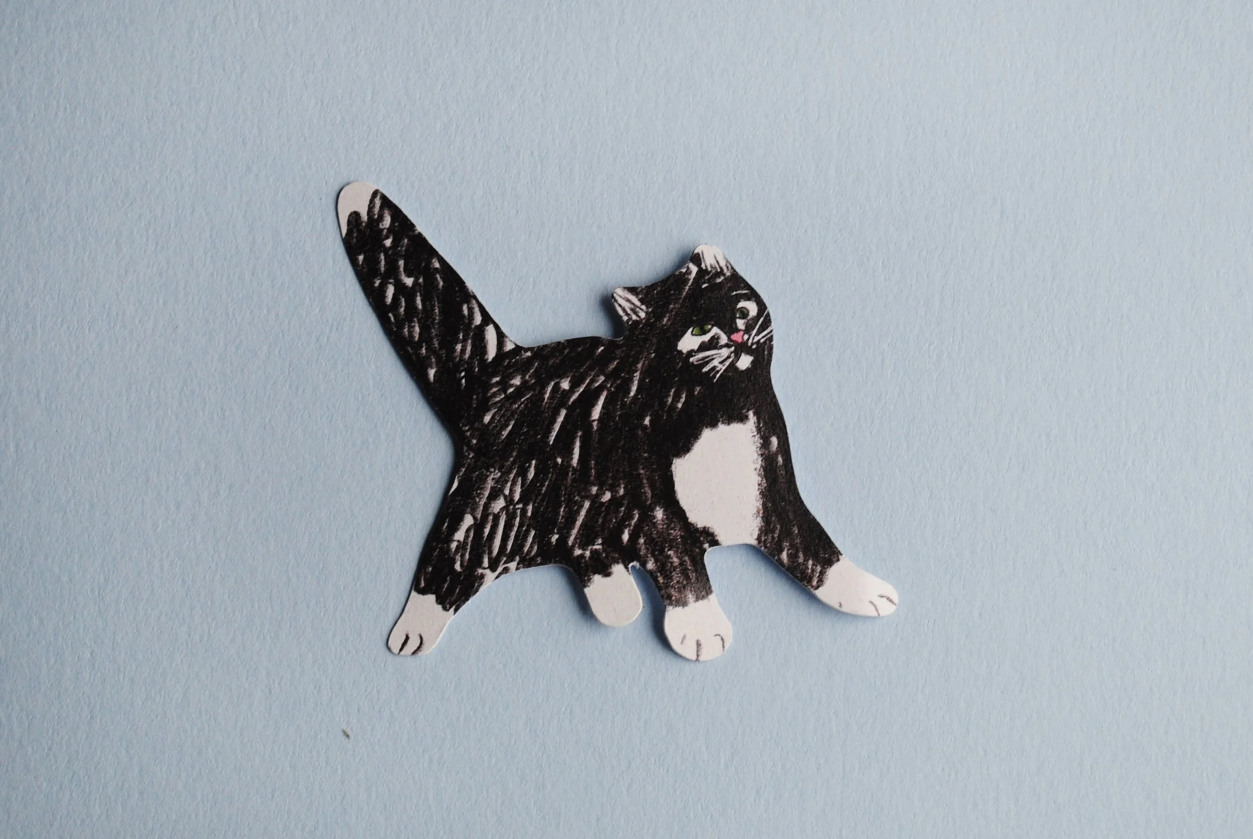 Black_and_white_cat_sticker copy.jpg