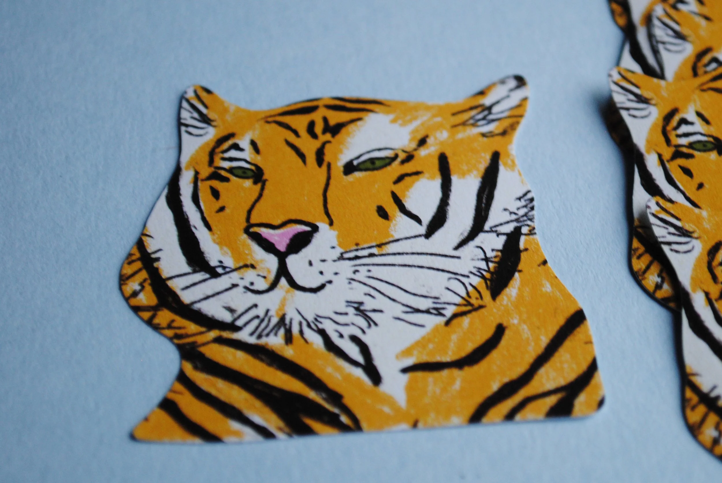 Tiger_close_up copy.jpg