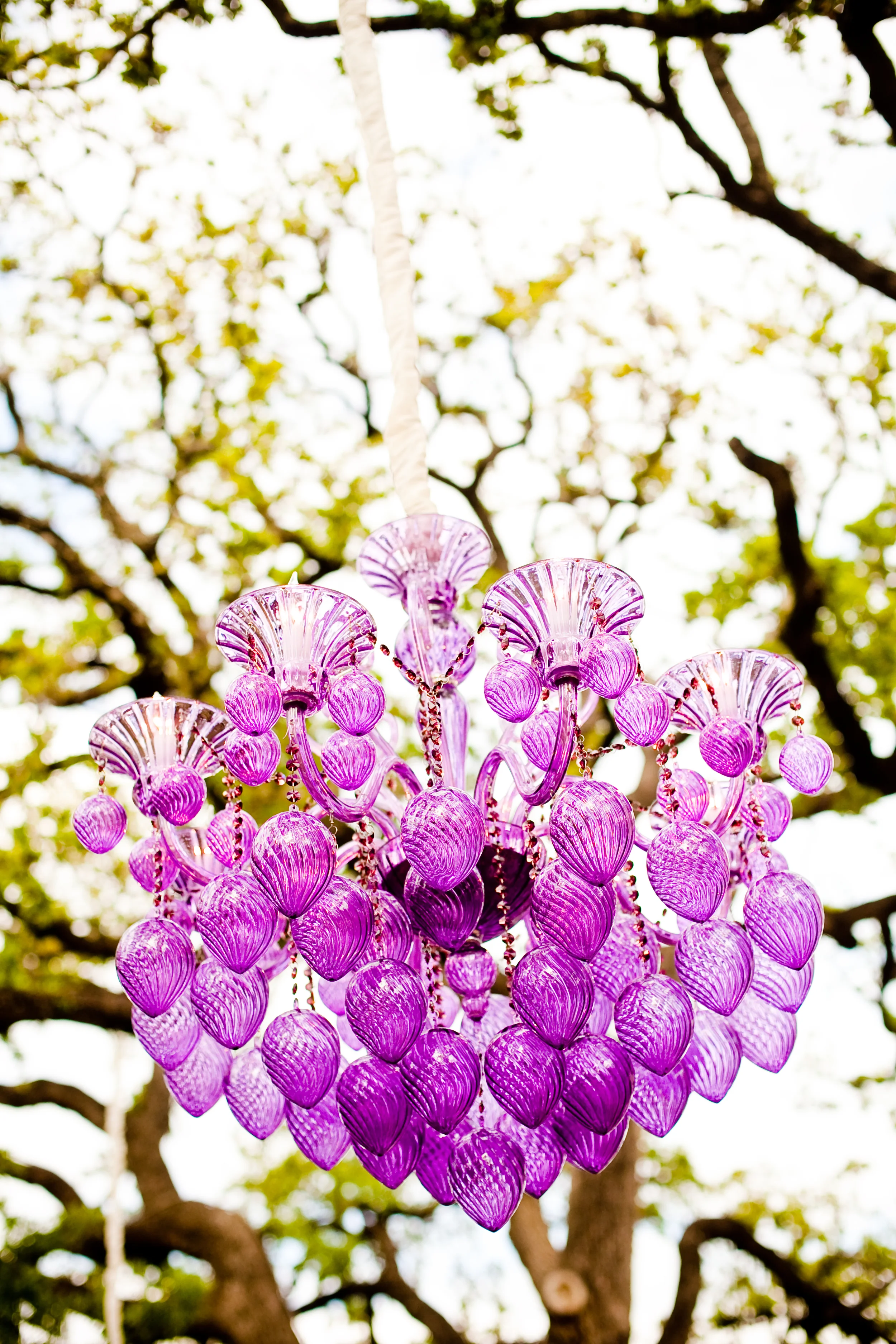 purple chandelier.jpg