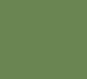 lightGreenSquare.jpg