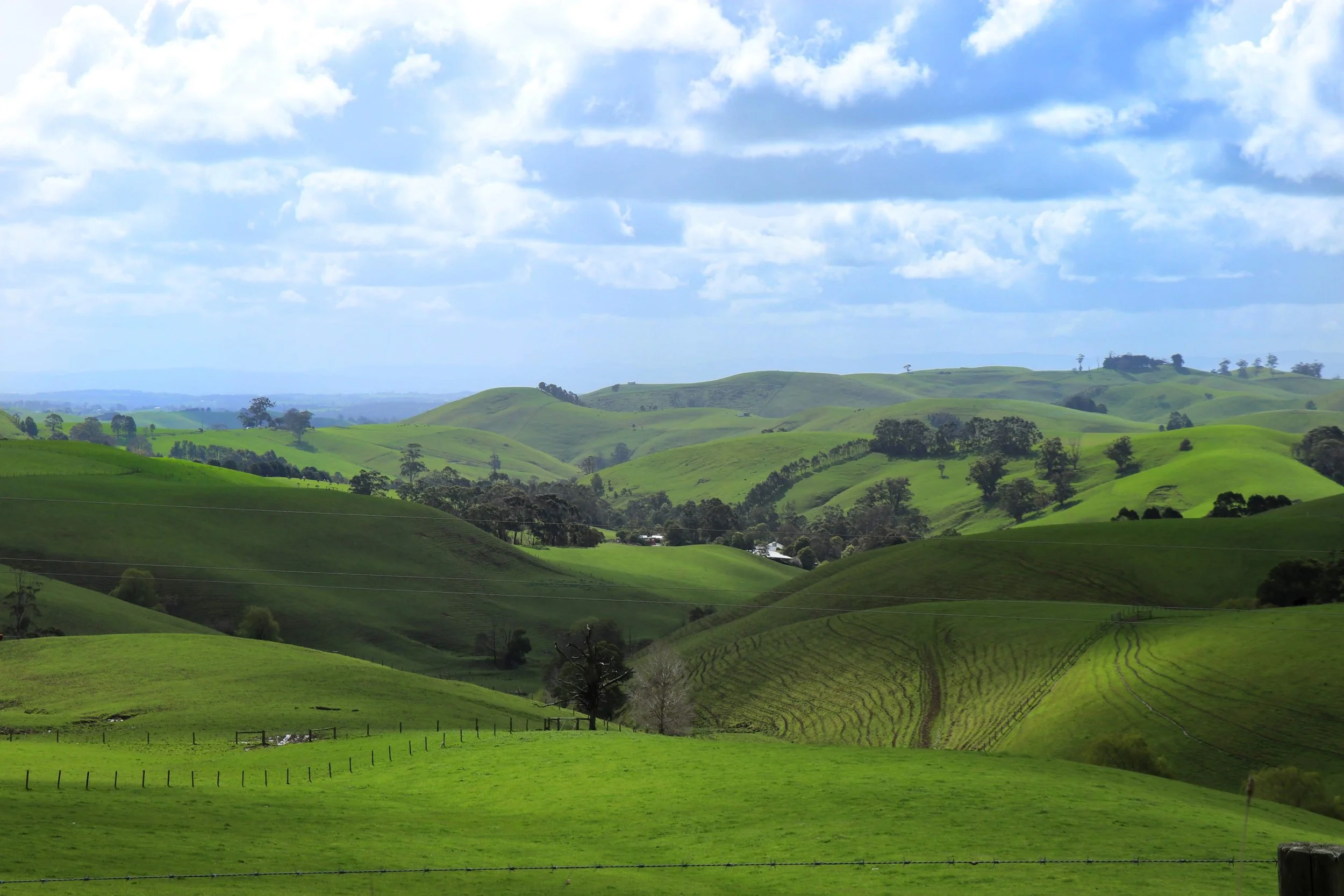 The rolling hills of Bunurong Country between Warragul and Inverloch.