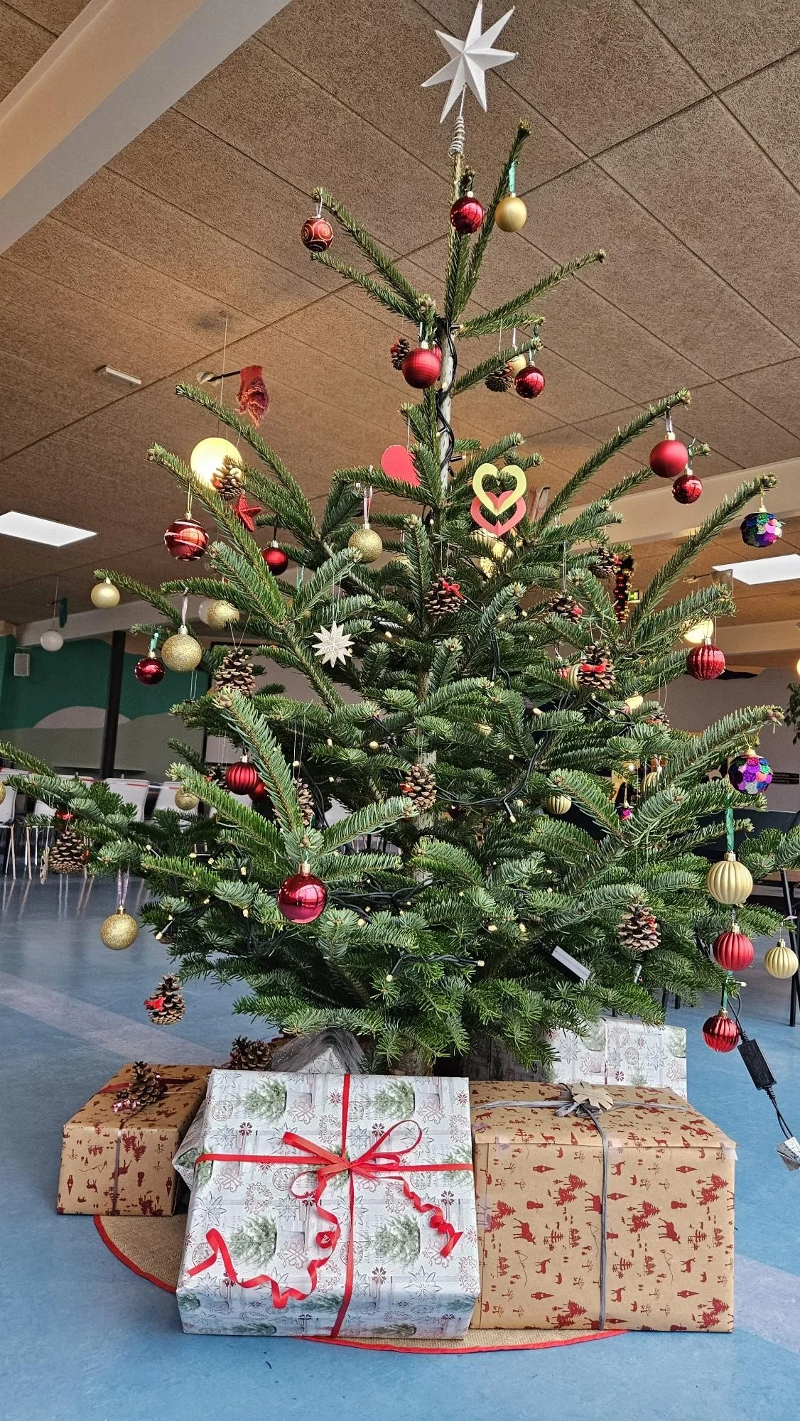 Lukket i juleferien 21/12-25 til 4/1-26 (begge dage inklusive)