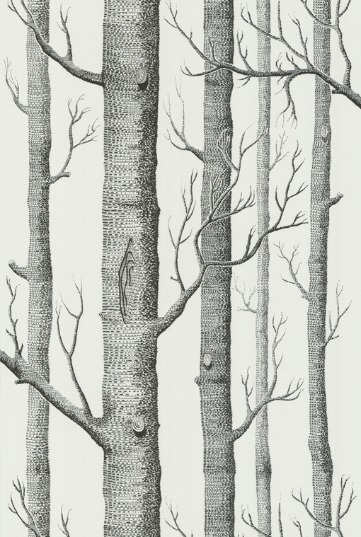 woods / wallpaper / coleandson