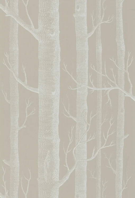 woods / wallpaper / coleandson