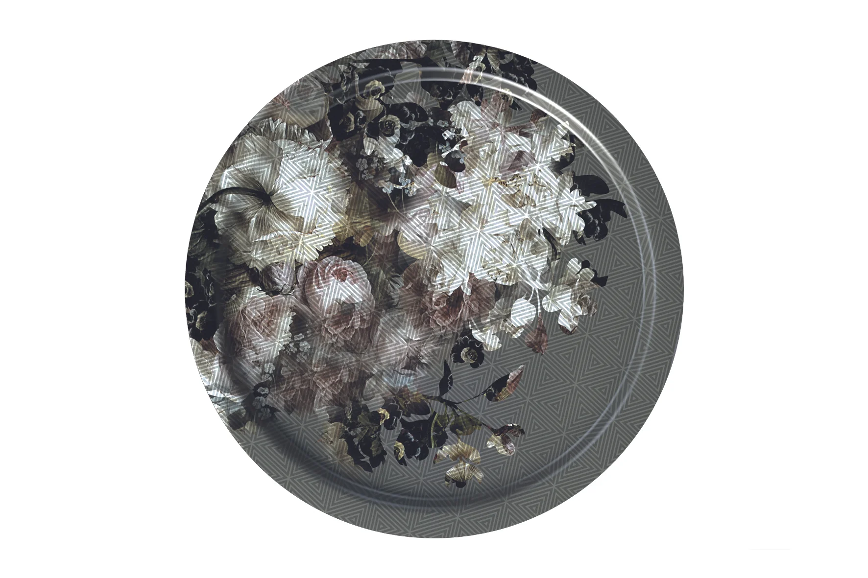 MEDUSA_tray1_15x10.jpg