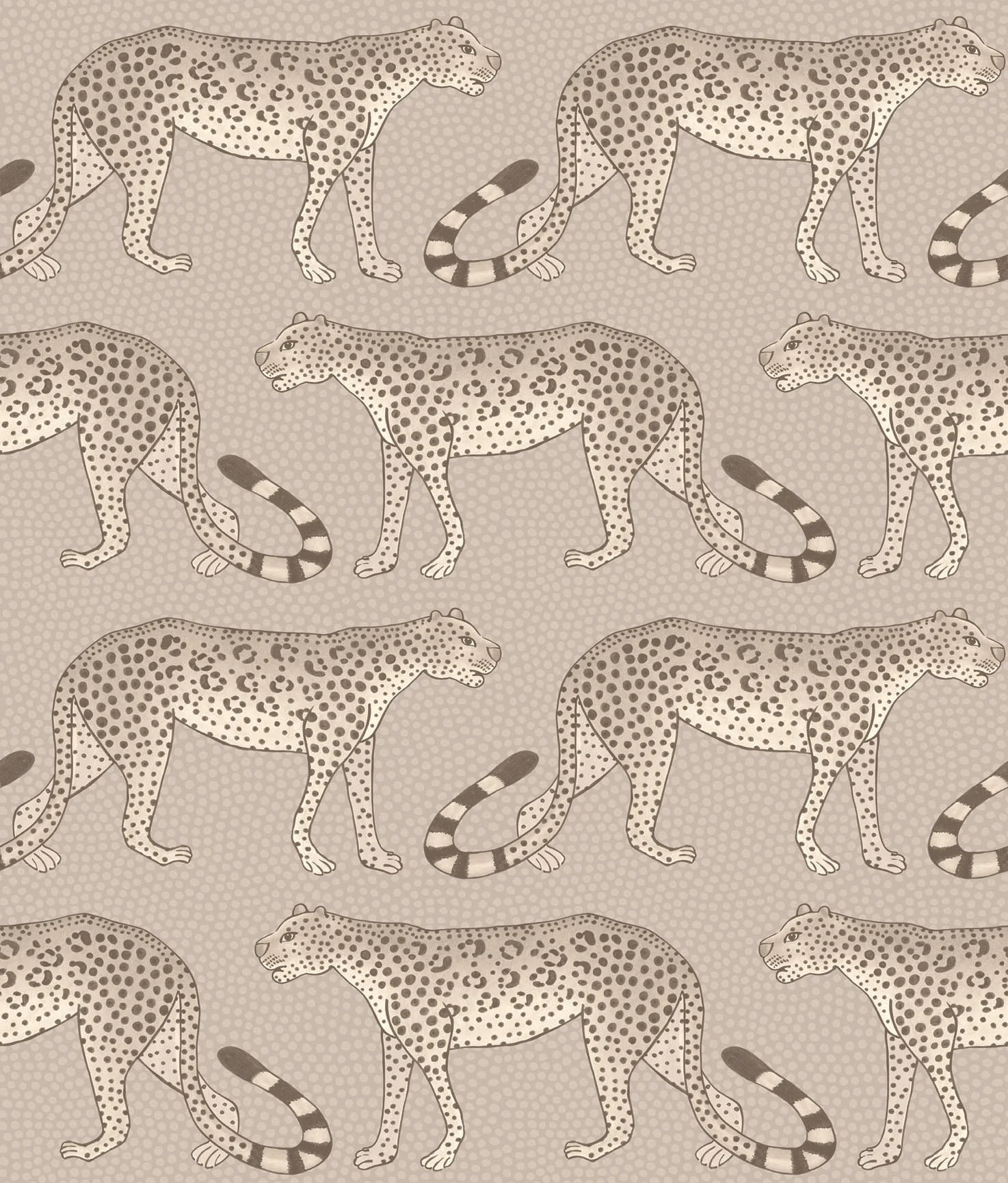 Leopard Wallpaper / Wallpaper / Leopard