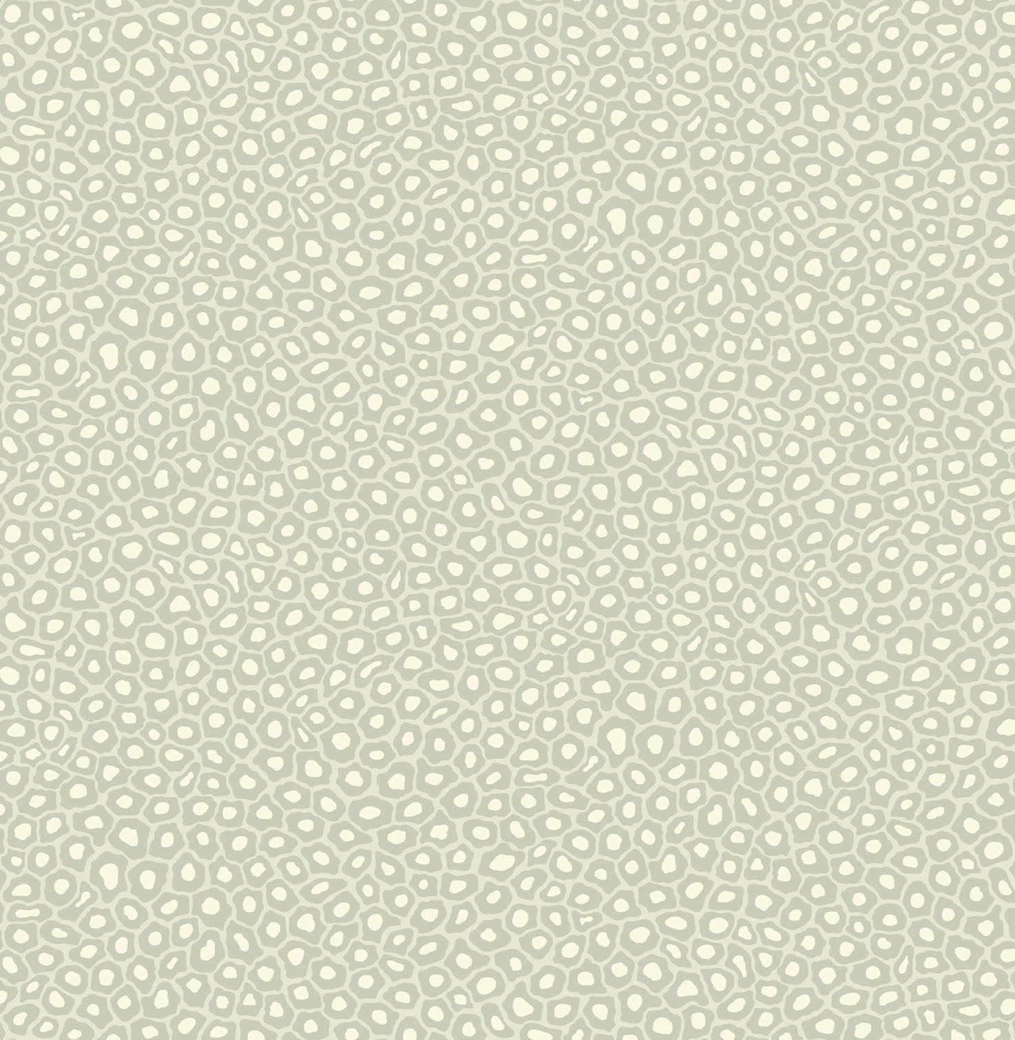Senzo Wallpaper / Cole & Son / Senzo