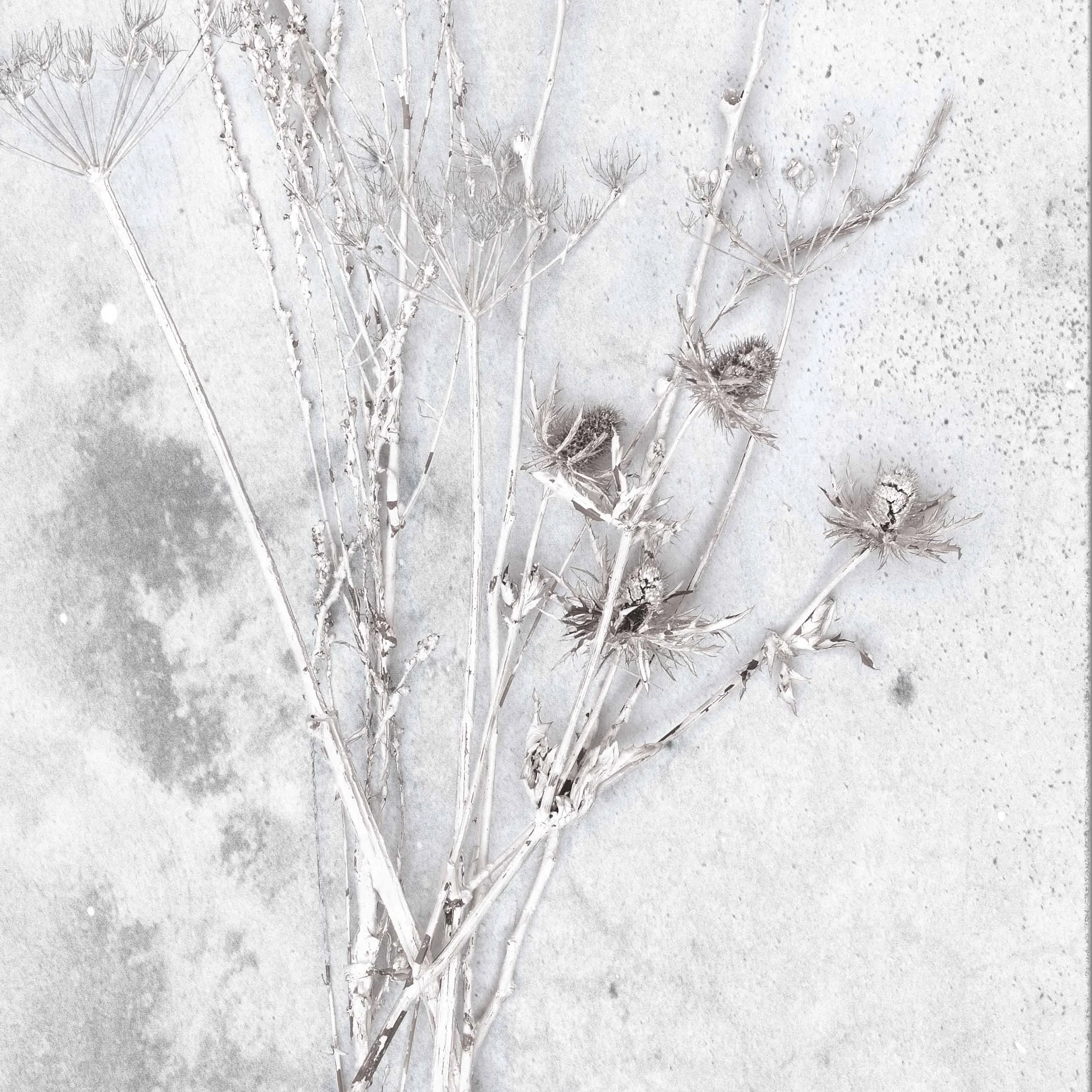 WM-001 MERAKI FLORAL1.jpg
