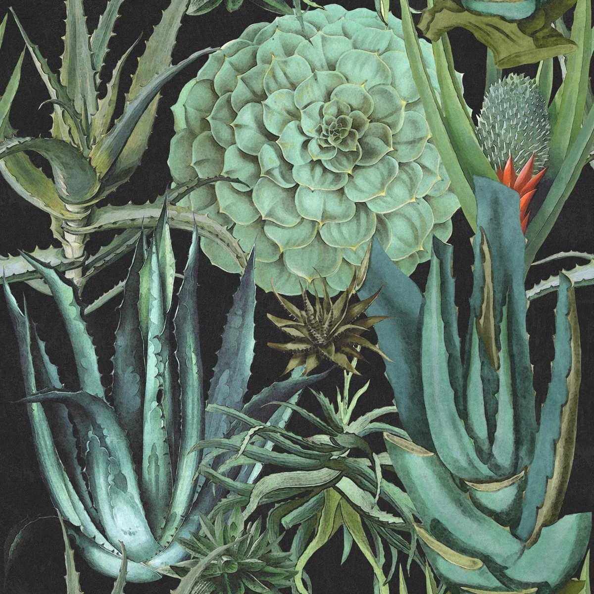 Succulents wallpaper / succulents mind the the gap / mind the gap stockist