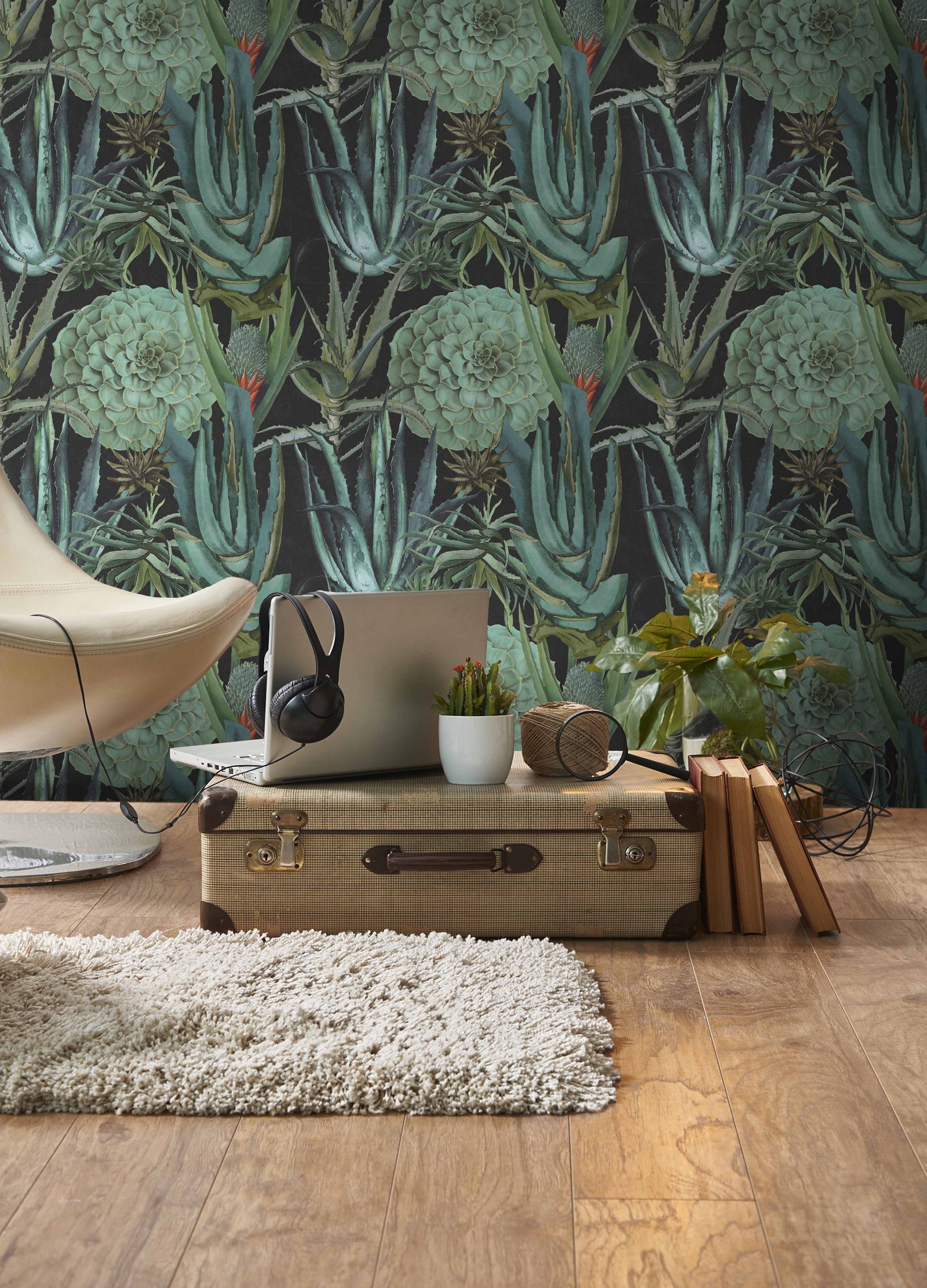 Succulents Mind the Gap / Succulents wallpaper / mind the gap stockist