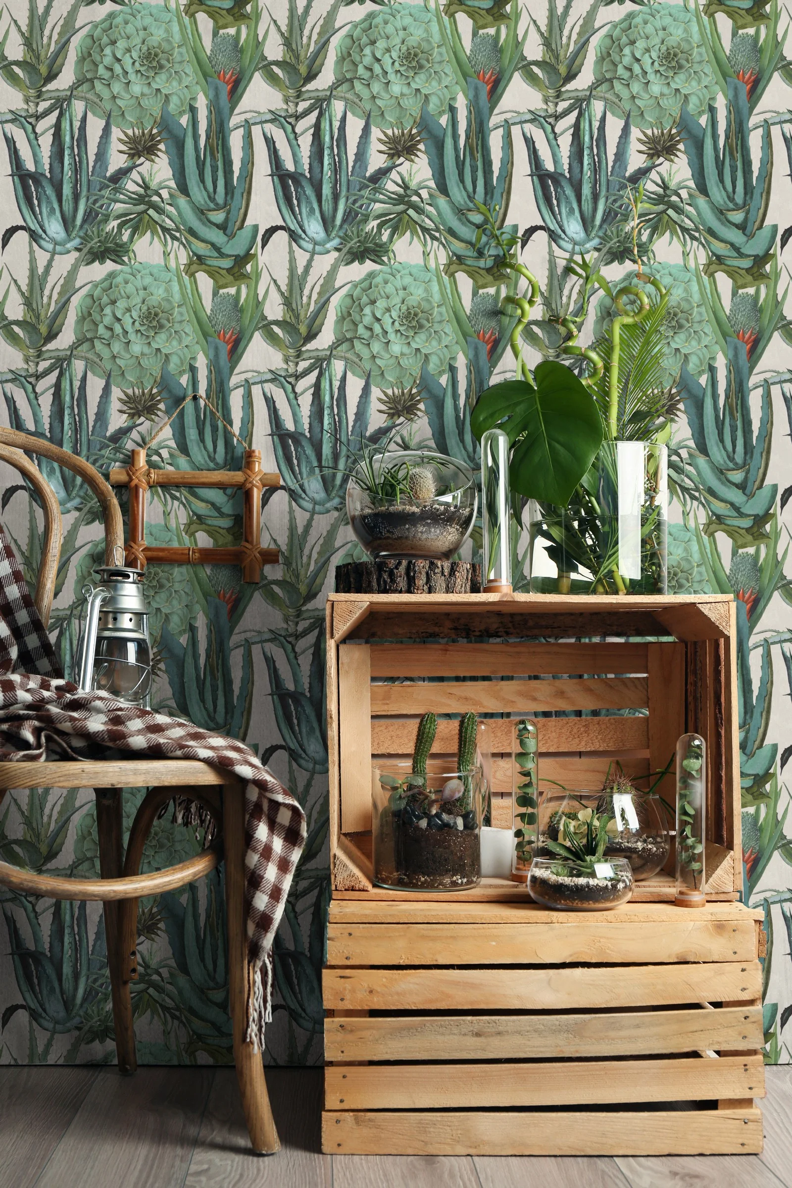 Succulents mind the gap / mind the gap wallpaper / mind the gap stockist