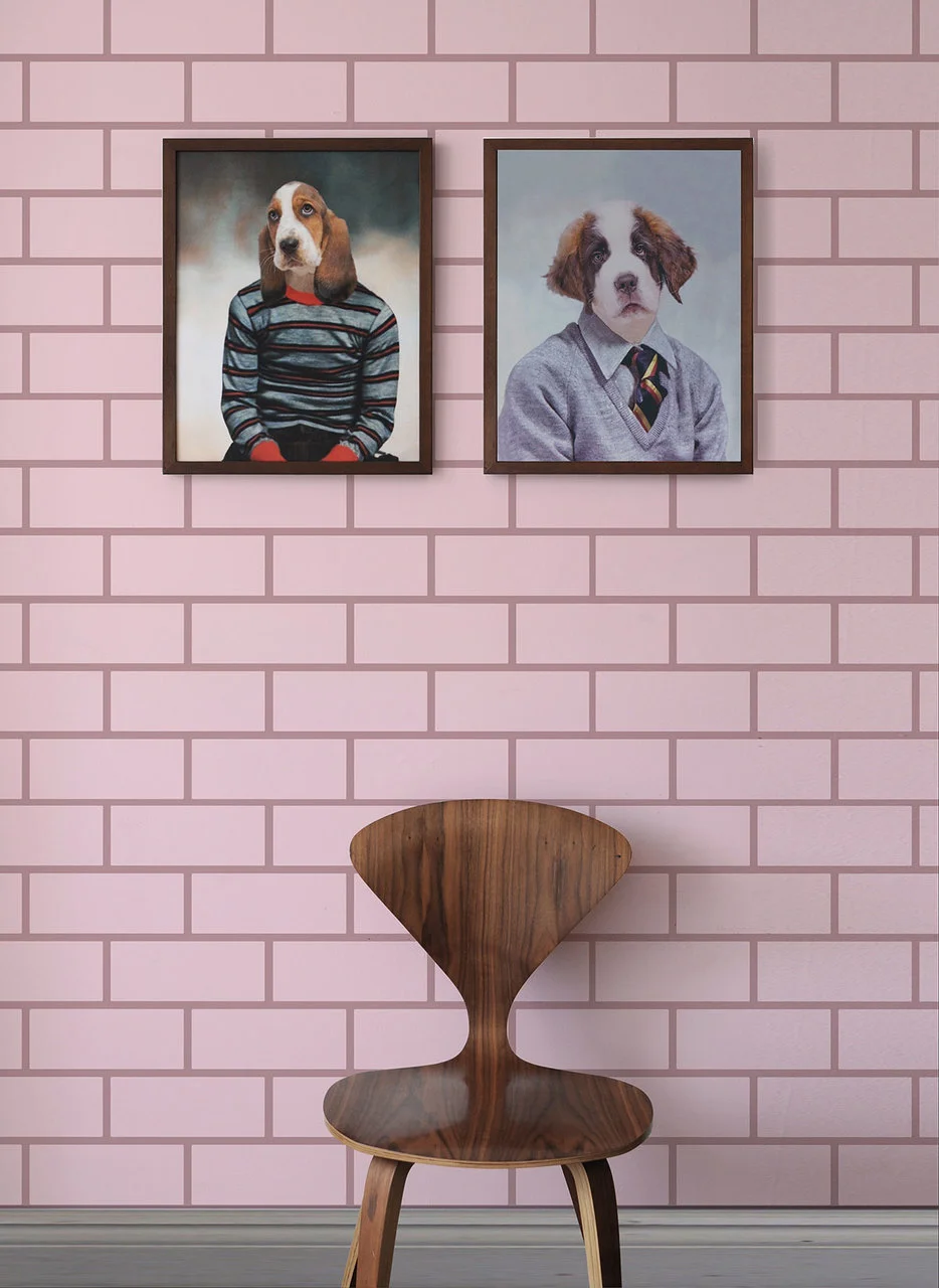 animals_family_location_web__32271.1564062846.jpg