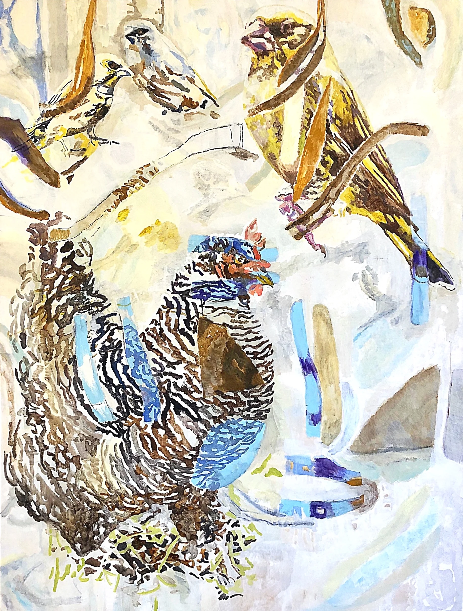 chicken and birds