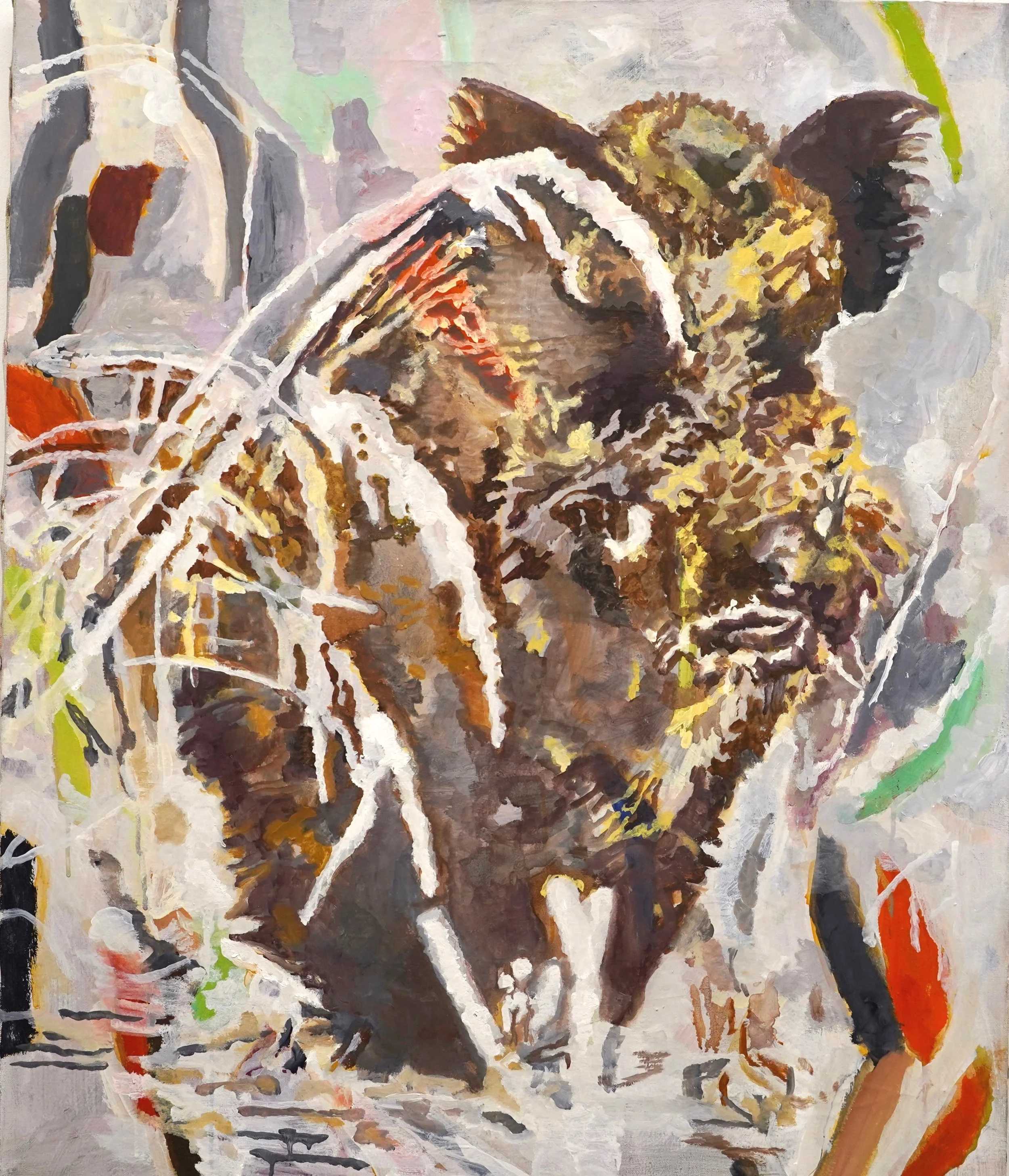 wild boar