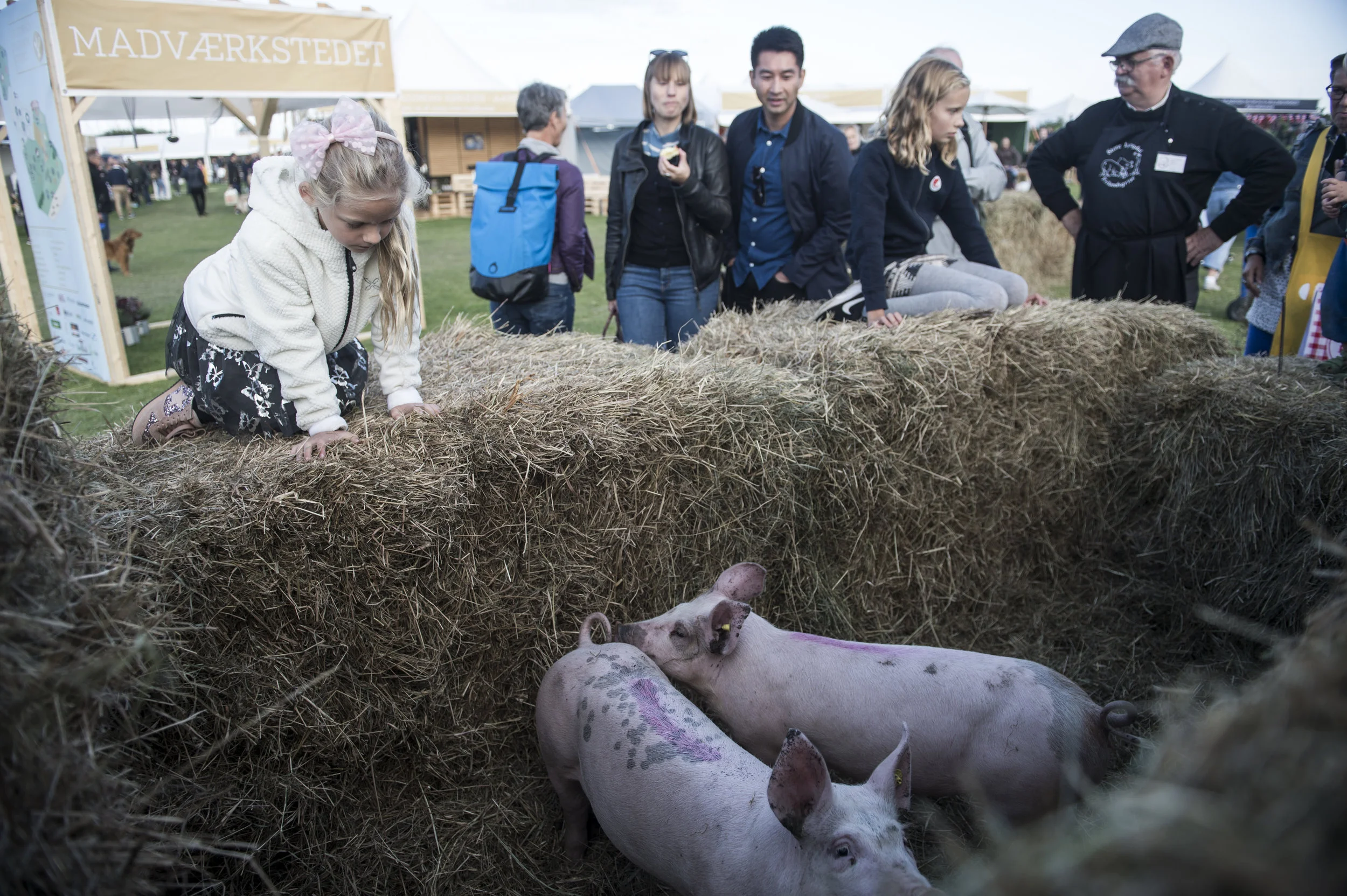 Stemning fra FOOD Ferstival 