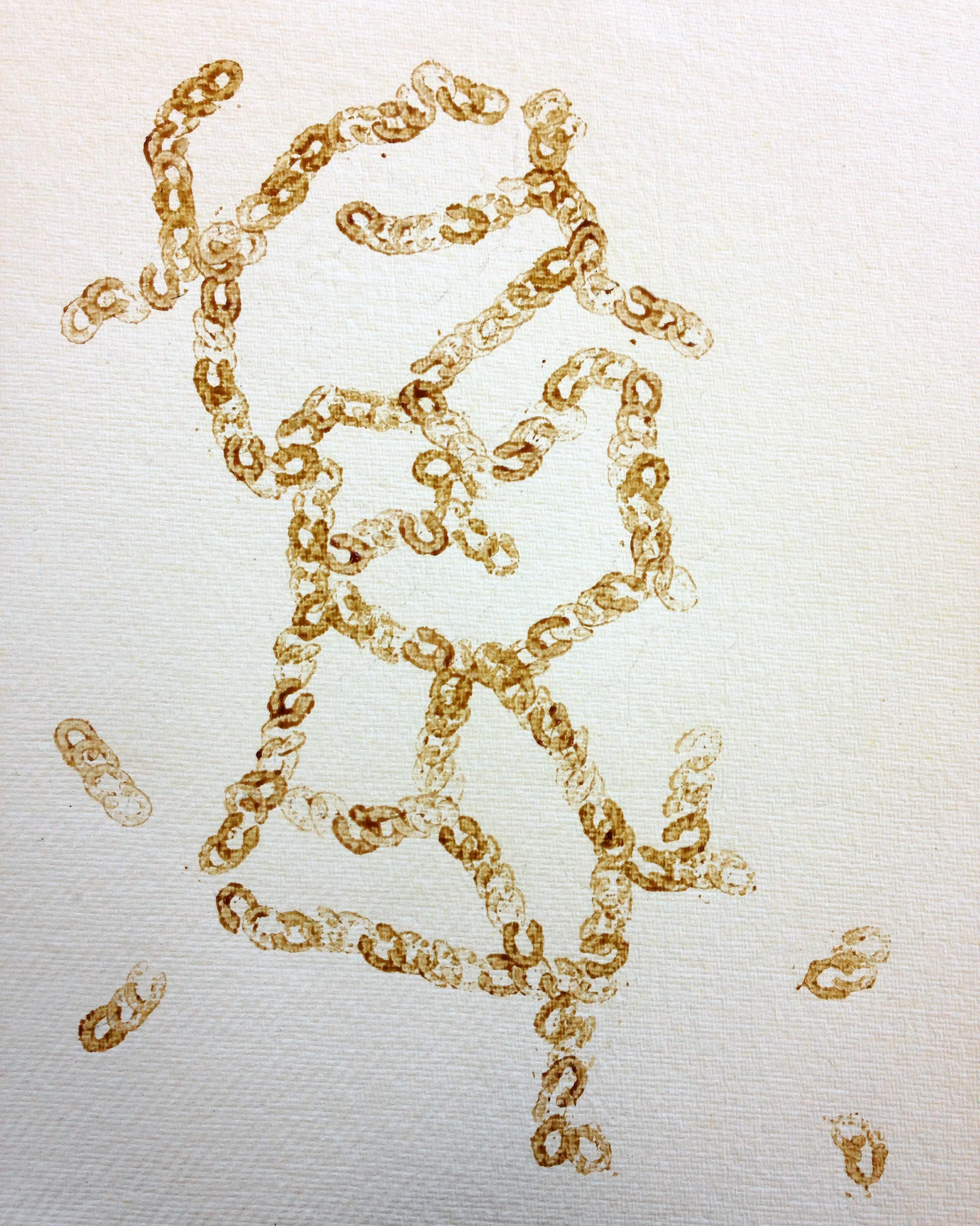 Canal (from Latin Canna meaning cane), 2017, cacao and coffee on cotton